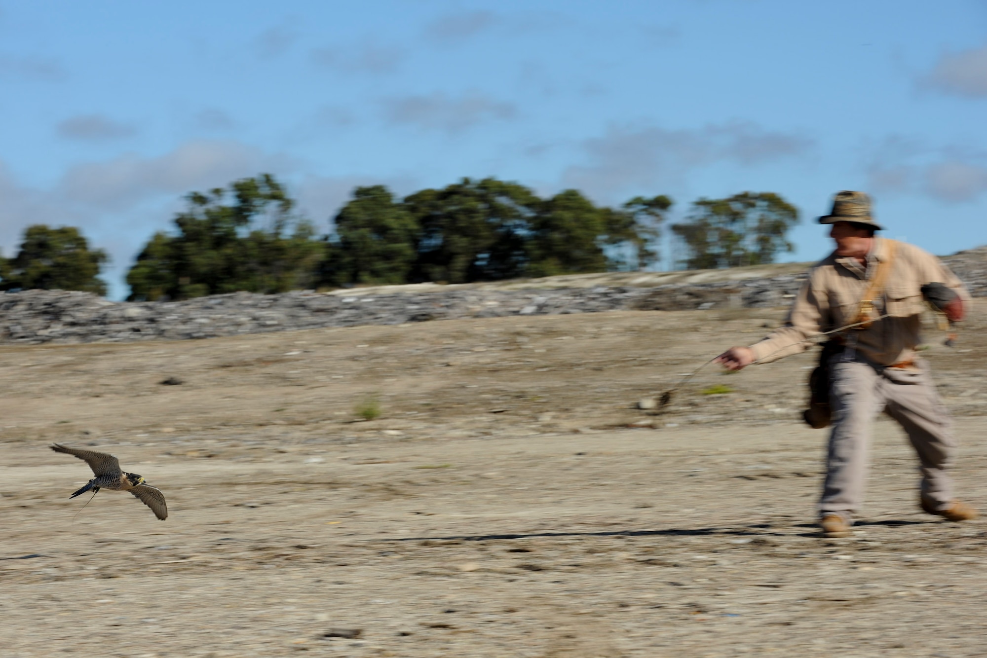 VANDENBERG AIR FORCE BASE, Calif. -- Craig Golden, a falconer from Safari Depredation Company, demonstrates how his falcon, Maverick, hunts prey at the base landfill here Wednesday, Nov. 23, 2011. The falconer helps prevent animals, like seagulls and other birds, from removing the refuse to other areas of the base and helps keep landfill workers safe. While the falcons are intimidating to many of the small animals in the area, they still have to be careful for local territorial predators. (U.S. Air Force photo/Staff Sgt. Levi Riendeau)