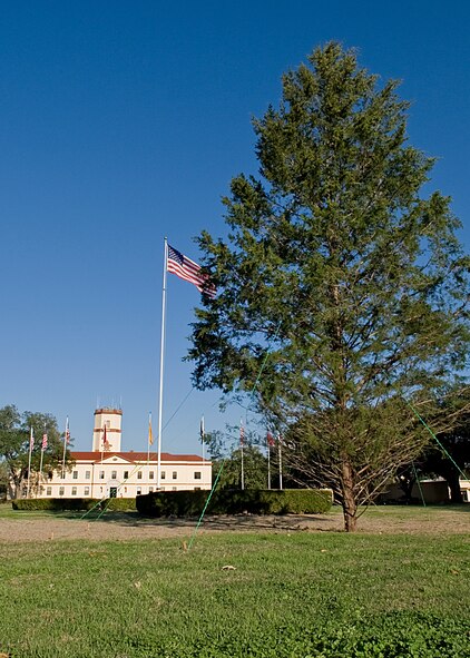 A 30-foot tree stands outside the 2nd Bomb Wing headquarters on Barksdale Air Force Base, La., Nov. 28. The annual tree lighting ceremony will be held after retreat on Dec. 1 at 5 p.m. This is one of the many events held for Airmen throughout the holiday season to include the Bomb Wing Holiday Party scheduled for Dec. 2 at Hoban Hall. (U.S. Air Force photo/Senior Airman Kristin High)(RELEASED)