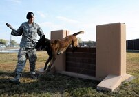 LAUGHLIN AIR FORCE BASE, Texas – Staff Sgt. Britney Simpson, 47th Security Forces Squadron military working dog handler, and her partner, XXavier, go through a training obstacle here Nov.  21. XXavier is leaving the 47th SFS for the 341st Training Squadron at Lackland Air Force Base, Texas, to become a breeding dog. (U.S. Air Force photo/Airman 1st Class Nathan L. Maysonet)