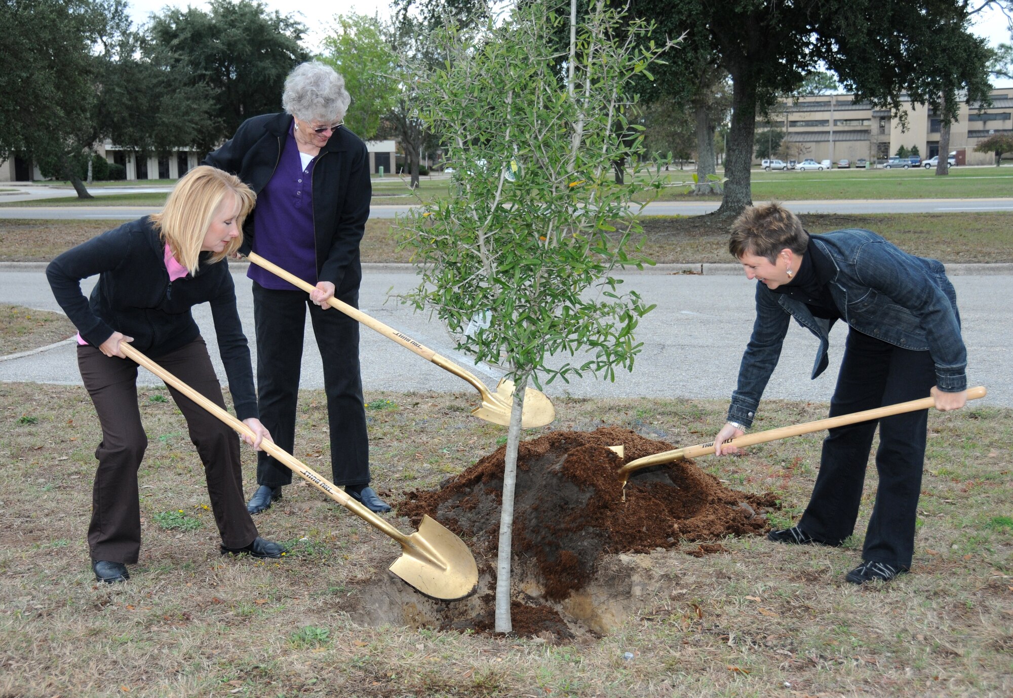 Devalynn Solomon, Cathy Varble, and Mary Fitzgerald, members of the Keesler Spouses Club, plant a tree next to the thrift shop, Keesler Air Force Base, Miss., Nov. 28, 2011.  The tree planting was in honor of Varble’s 80th Birthday and 37 years of volunteering service at Keesler.  Devalynn is the spouse of Lt. Col. Scott Solomon, 81st Training Group.  Mary is the spouse of Col. Jay Fitzgerald, 2nd Air Force.  Cathy is married to Tom Varble, a volunteer at the Keesler Medical Center.  (U.S. Air Force photo by Kemberly Groue)