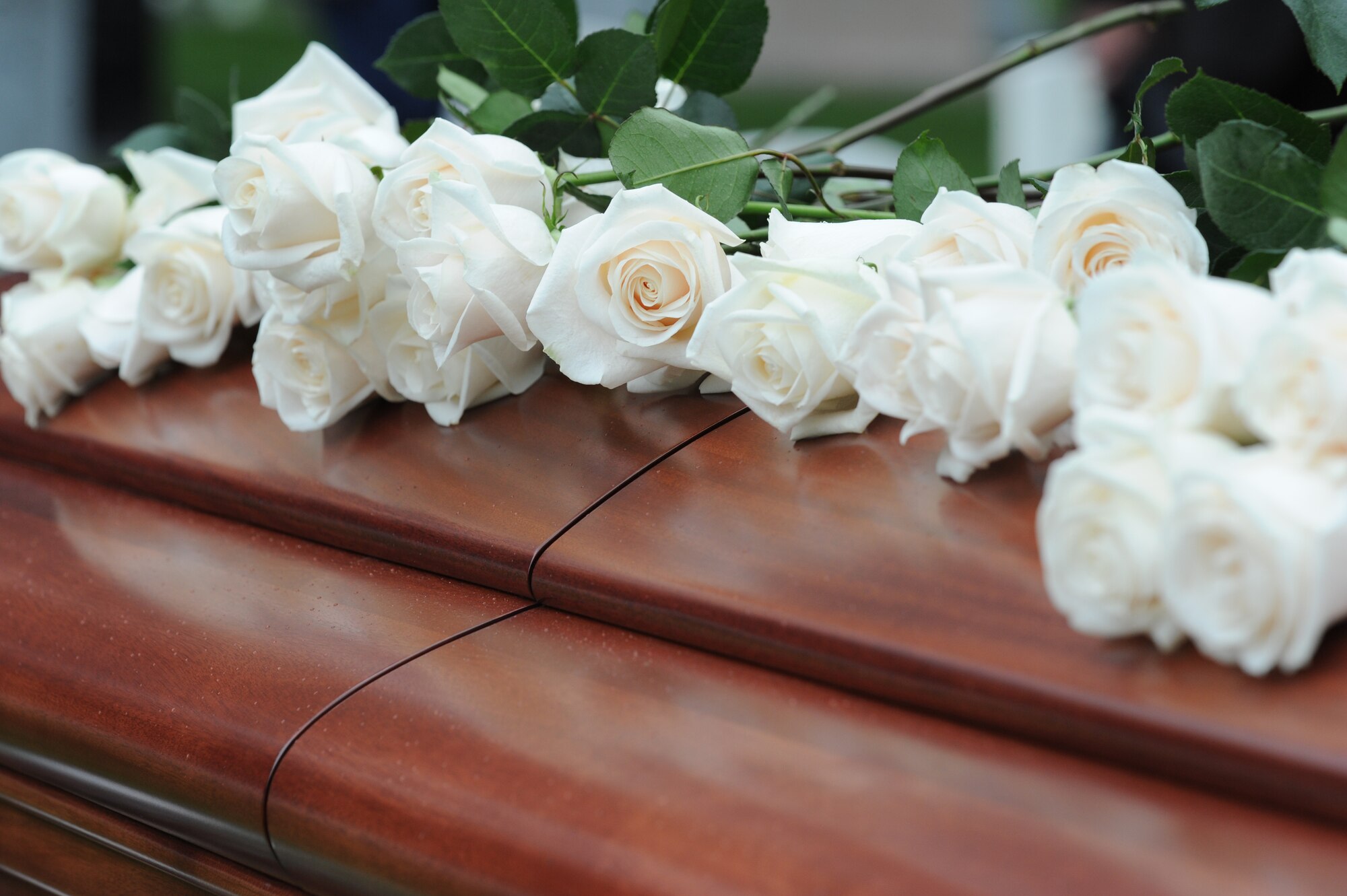 White roses were used to honor retired Maj. Gen. John Alison during his funeral at Arlington National Cemetery, Va., Oct. 3, 2011. Alison served in the Air Force, and its predecessor organizations, from 1935 to 1972. During that time, he became a fighter ace in World War II and held senior staff positions during the Korean and Vietnam wars. (U.S. Air Force photo/Staff Sgt. Christopher Ruano)