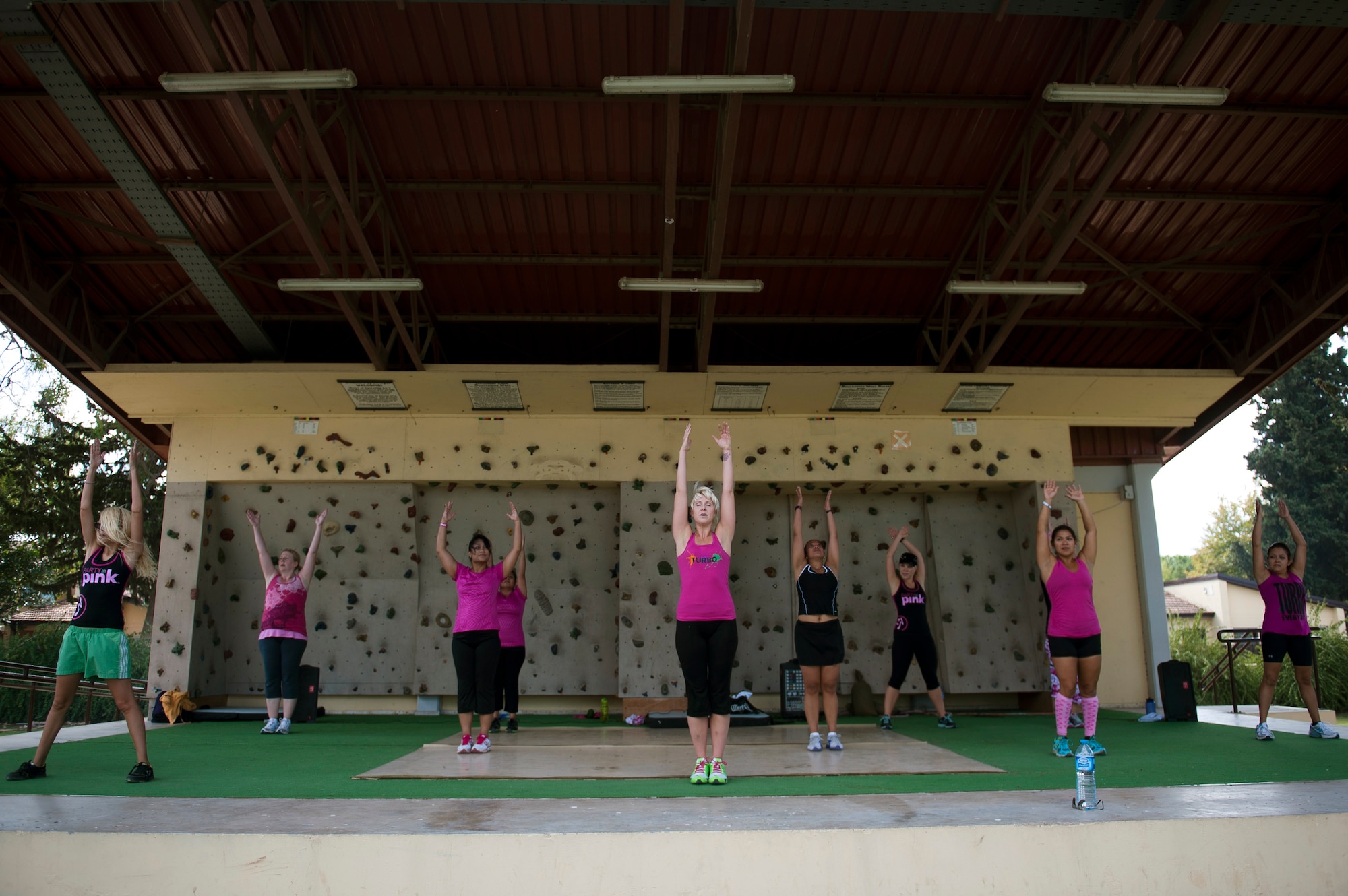 Participants exercise during the Party in Pink Zumbathon and Turbo Party portion of the National Breast Cancer Awareness Month event Oct. 1, 2011, at Arkadas Park at Incirlik Air Base, Turkey. The event was sponsored by the Health and Wellness Center, fitness center and women's health clinic to raise breast cancer awareness and money for a donation to the Susan G. Komen For the Cure Foundation. (U.S. Air Force photo by Tech. Sgt. Michael B. Keller/Released)