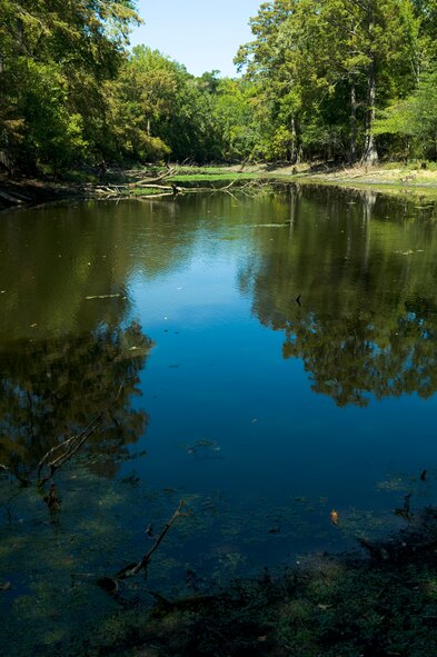 Clear Lake Park has an assortment of wildlife and is located on the east side of Barksdale Air Force Base, La. Flag lake is one of five lakes on the East Reservation and offers numerous outdoor recreational activities for Airmen and their families. (U.S. Air Force photo/Airman 1st Class Benjamin Gonsier)(RELEASED)