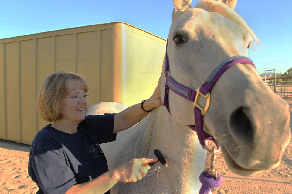 Navy Chief Tamara L. Marks, the leading chief petty officer for the Adult Medical Care Clinic, grooms her horse, Kharisma, in preperation to ride her the Outdoor Adventures' stables Oct. 11, 2011.