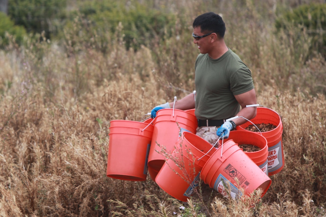 Sgt. Jesse L. Thomas, a military policeman with Combat Logistics Regiment 17, carries buckets of mulch as part of a restoration project at Mori Point Oct. 8. Service members participating in San Francisco Fleet Week have helped restore the natural California habitat in five different areas over the past two days.