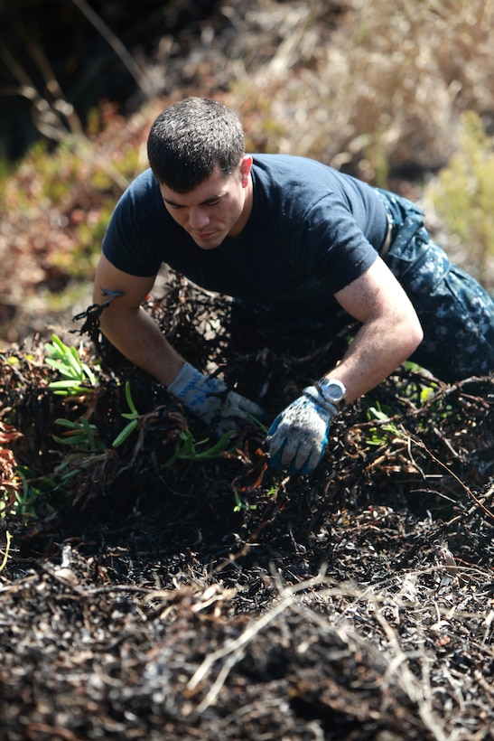 Navy Lt. Daniel Bergstron, ship safety officer, USS Bonhomme Richard, removes non-native ice plants at Presidio of San Francisco National Park, Oct. 7, 2011. Service members worked alongside park personnel to clear invasive plants out of the area in order to help bring back the native species.