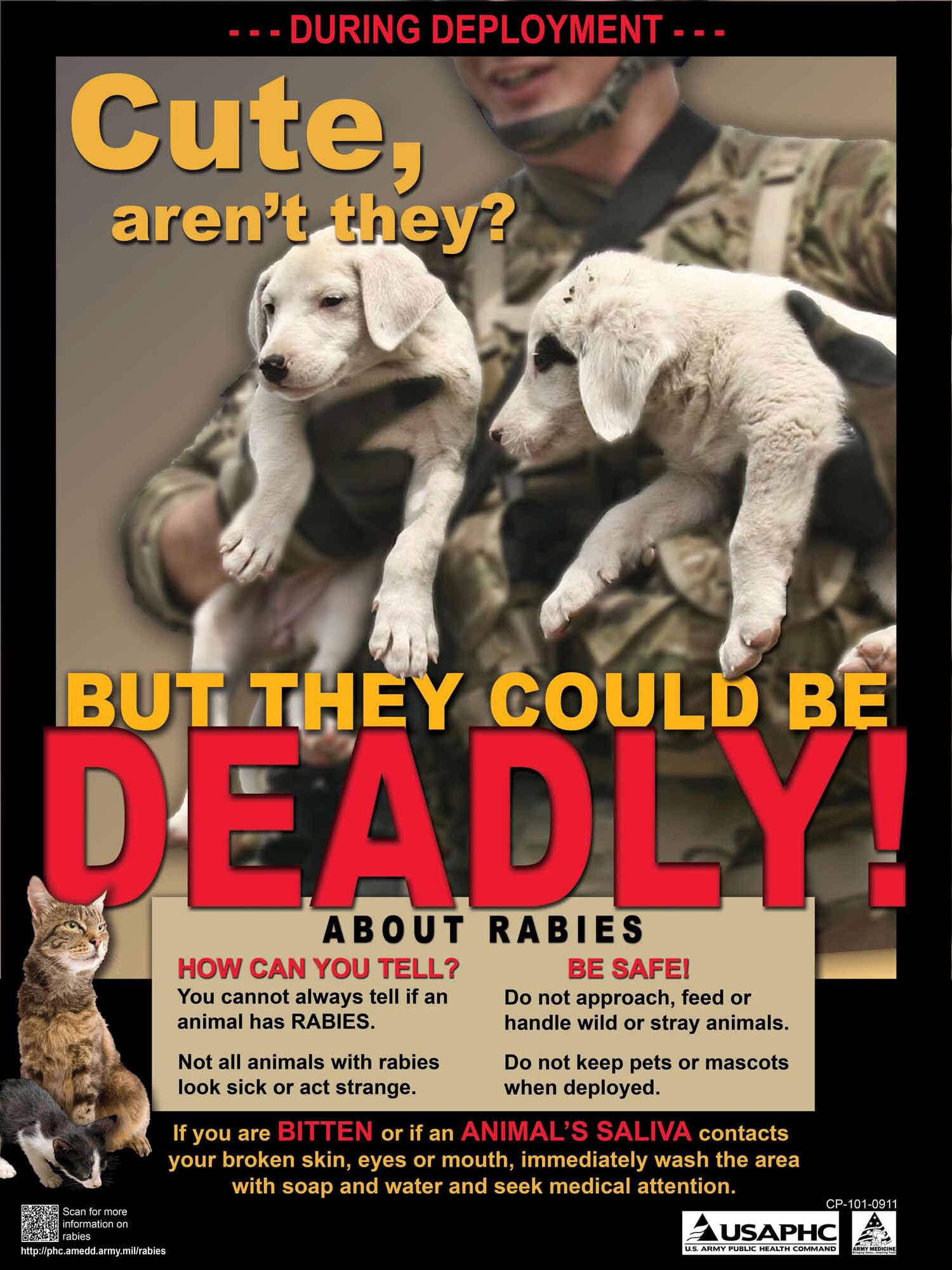 Following the recent death of a Ft. Drum, N.Y., Soldier after he contracted rabies from a feral dog while deployed to the area of responsibility, Department of Defense officials want military members to be aware of the risks of this deadly disease. 

