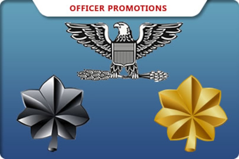 Air Force Colonel Promotion List 2024 Deni Nannie