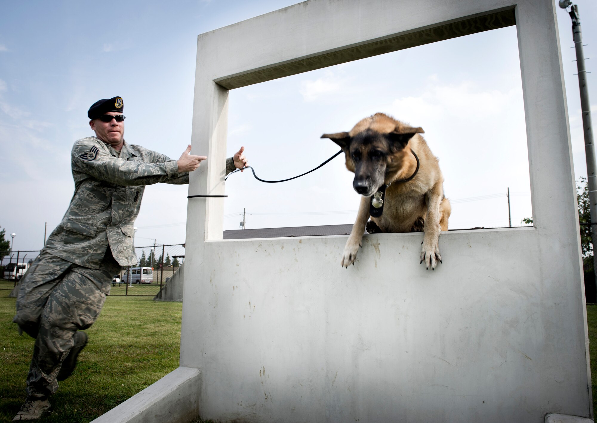 YOKOTA AIR BASE, Japan  -- Staff Sgt. Charles Salton, military 374h Security Forces Squadron military working dog handler runs his dog through the obstacle course Oct. 11, 2011 at Yokota at Air Base, Japan. The MWD handlers run their dogs through the course everyday to give them exercise and keep them trained to do their job. The MWD handlers work side-by-side with their dogs to provide base security as well as searching vehicles for illegal drugs, and explosives (U.S. Air Force Photo/ Staff Sgt. Stacy Moless)
