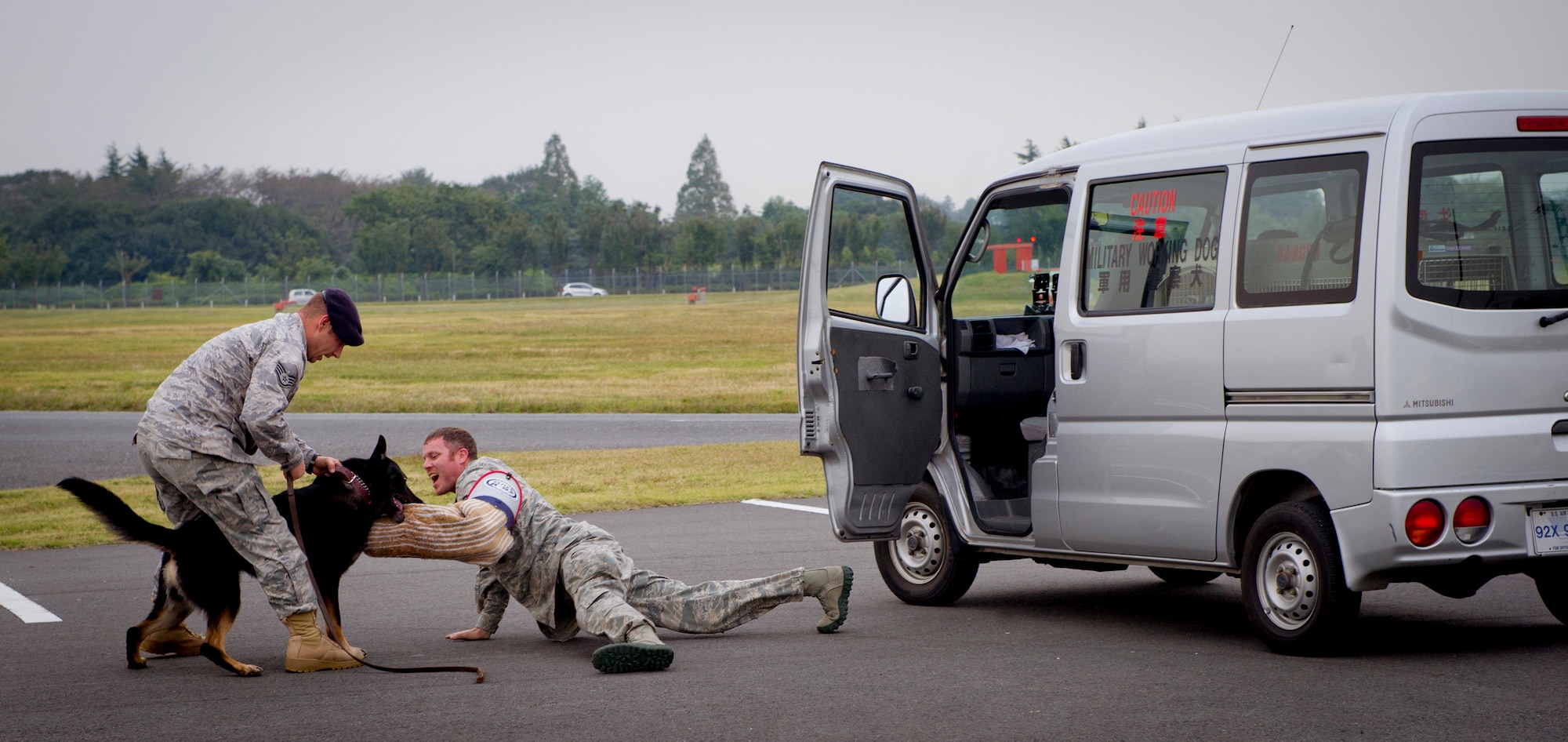 YOKOTA AIR BASE, Japan  -- Staff Sgt. Justin Carpenter and SSgt Charles Salton, 374h Security Forces Squadron military working dog handlers demonstrate a vehicle extraction Oct. 11, 2011 at Yokota Air Base, Japan. Salton acts as a decoy while Carpenter teaches his dog to respond to his voice, giving him attack and release commands to apprehend a threat. The MWD handlers work side-by-side with their dogs to provide base security as well as searching vehicles for illegal drugs, and explosives. (U.S. Air Force Photo/ Staff Sgt. Stacy Moless)