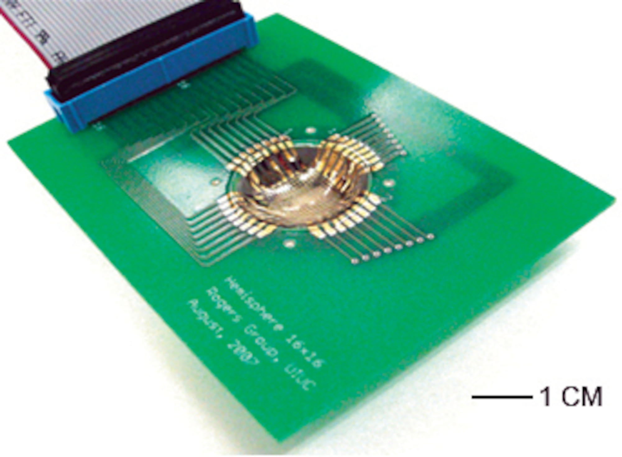 Array of photodiode and p-n junction-blocking diodes with metal inter-connects allows capture of visible images. Conventional planar processes are used to create an array of silicon optoelectronics components that are then formed into an eye-shape camera, reducing optical distortions and aberrations that occur in flat-sensor camera designs.( University of Illinois at Urbana-Champaign Image)