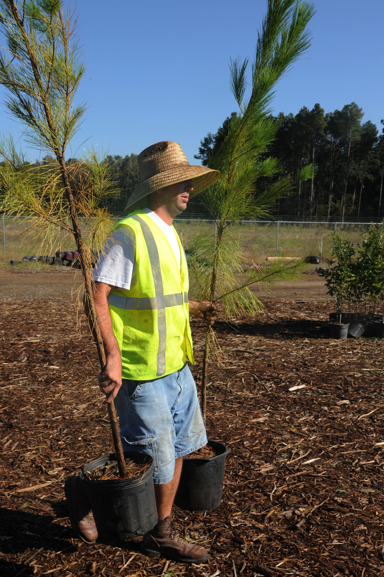 Nathan Bemis, a contract worker on the skeet range restoration project, carries pine trees Oct. 13  to be planted in their new homes. Nearly 15 acres of land was excavated and more than 3,000 trees were planted over the course of the 13-month project. (U.S. Air Force photo by Airman First Class Kaylee Clark)