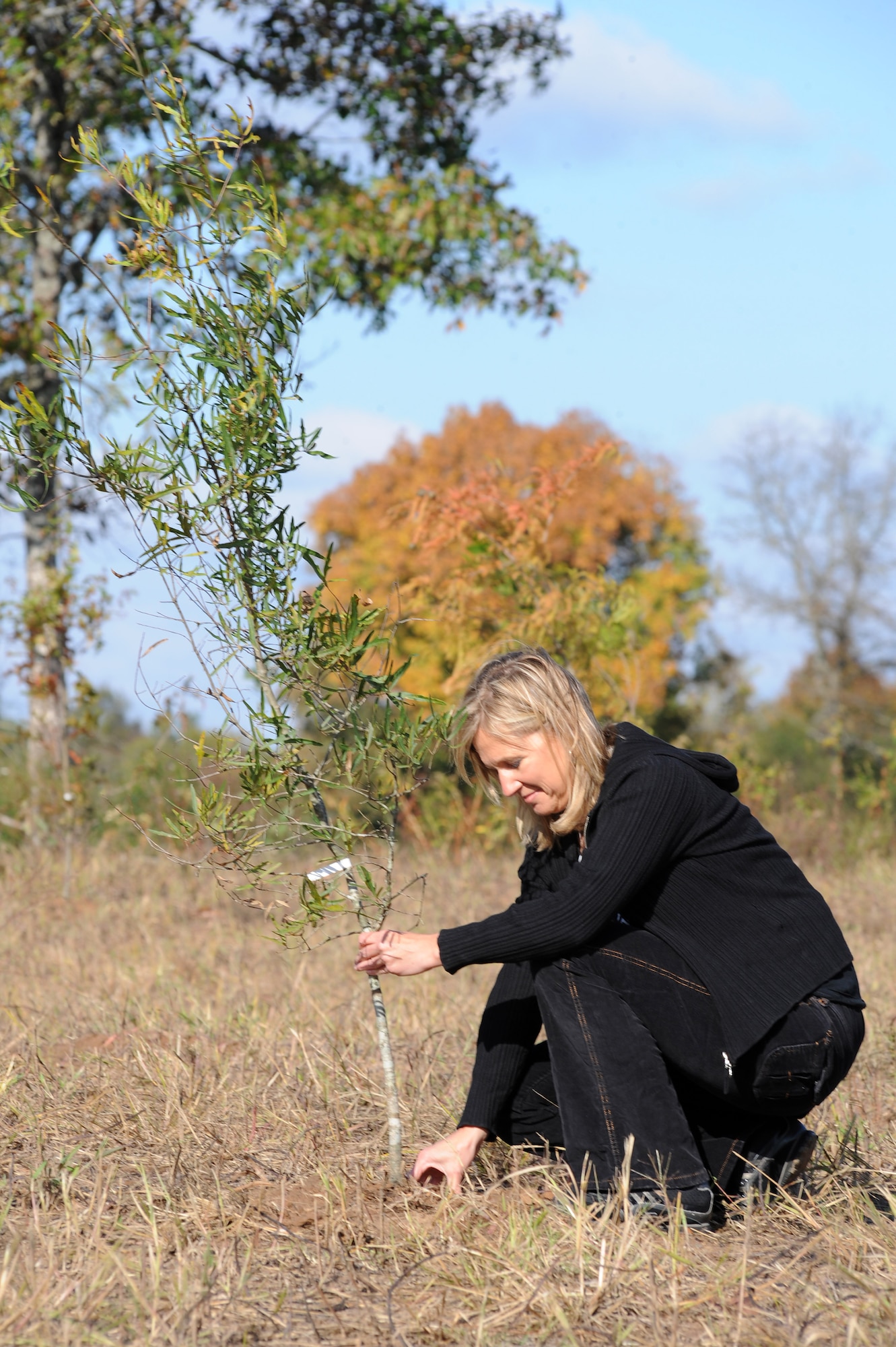 Terry Broach, 19th Civil Engineering Squadron interim restoration program manager, plants a tree Oct. 19, on the old base skeet range. The project included the excavation of 36 million tons of lead contaminated soil and the planting of more than 3,000 trees. (U.S. Air Force photo by Tech. Sgt. Chad Chisholm)