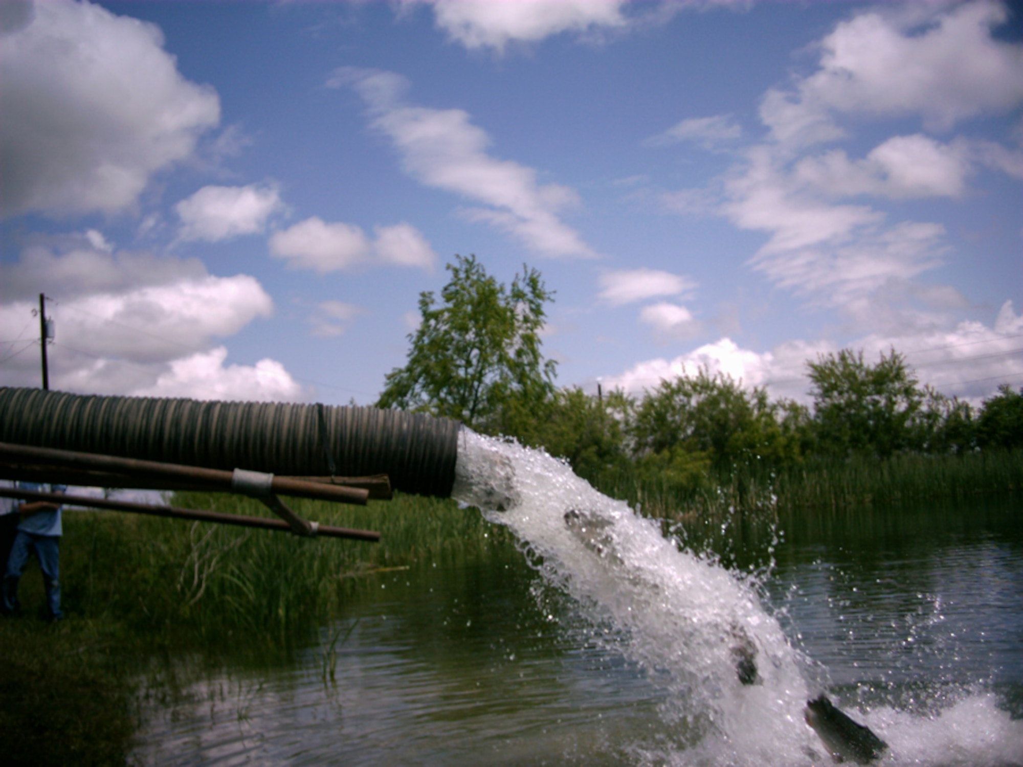 Fish are stocked into Powwow Pond earlier this year. A second stocking of fish is set to take place Oct. 27 for those who want to try some late season fishing. (Courtesy photo)