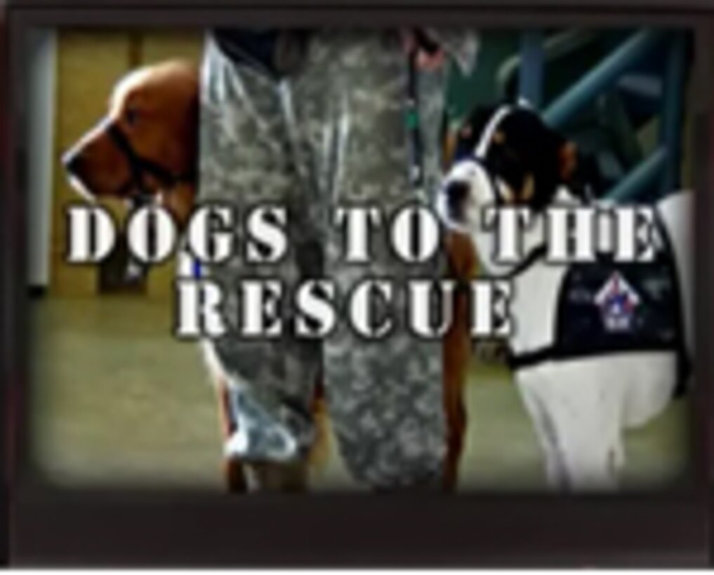 Dogs to the Rescue segment