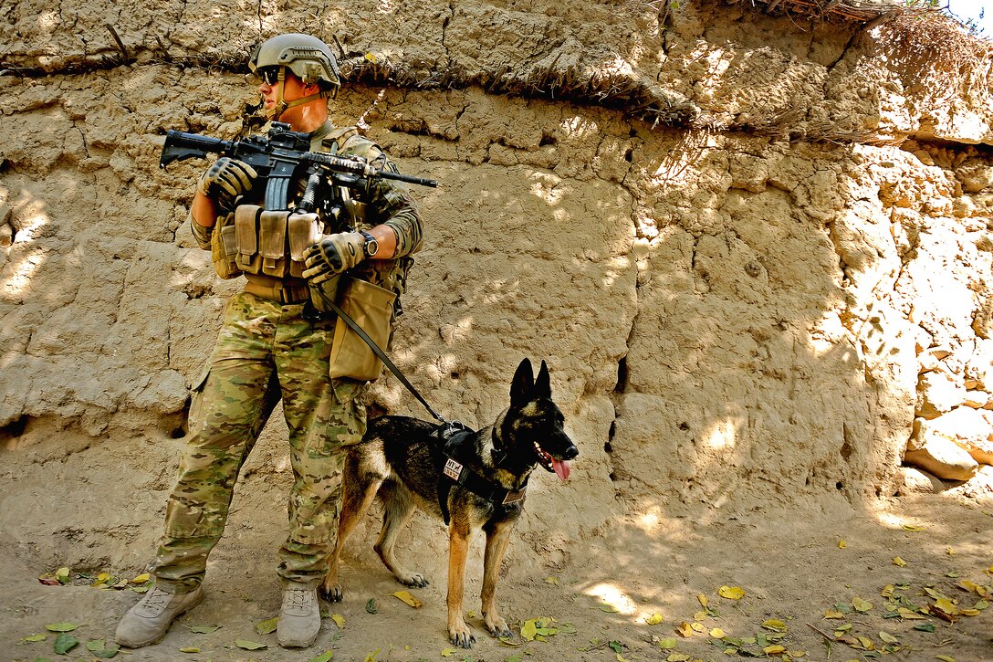 U.S. Air Force Staff Sgt. Martin Ratkowski and his military working dog, Tosca, secure an area during a patrol to a local village in Mizan district, Afghanistan, Oct. 20, 2011. Ratkowski is a Combined Team Zabul K-9 handler assigned to Provincial Reconstruction Team Zabul.