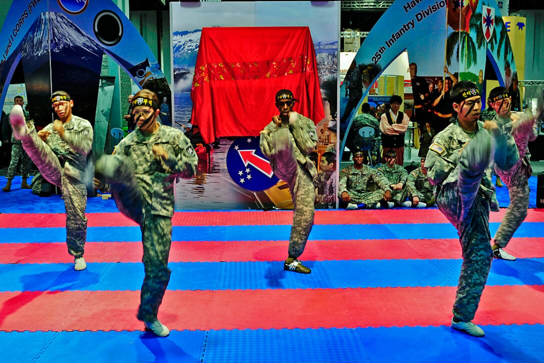 Twelve soldiers perform Tae Kwon Do demonstrations at the Walter E ...