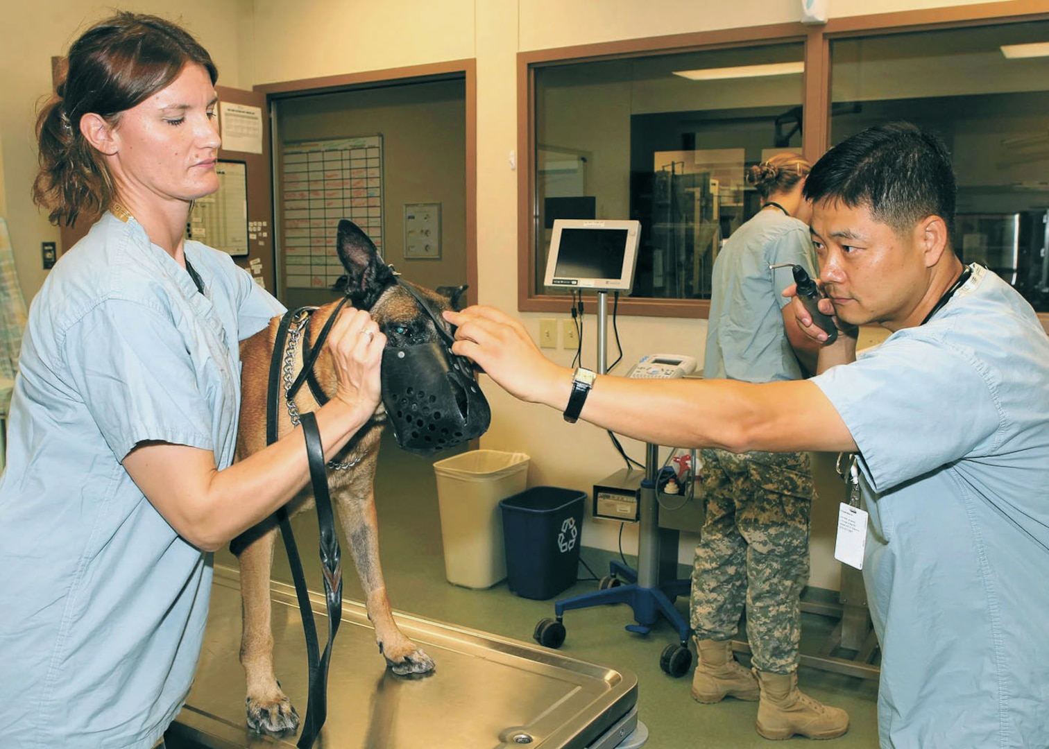 Maj. Sangho Seo examines Asko, a Malinois military working dog, as Kim Davis, an animal caretaker, assists Oct. 5 at the Holland Military Working Dog Hospital. (U.S. Air Force photo/Antonio Morano)
