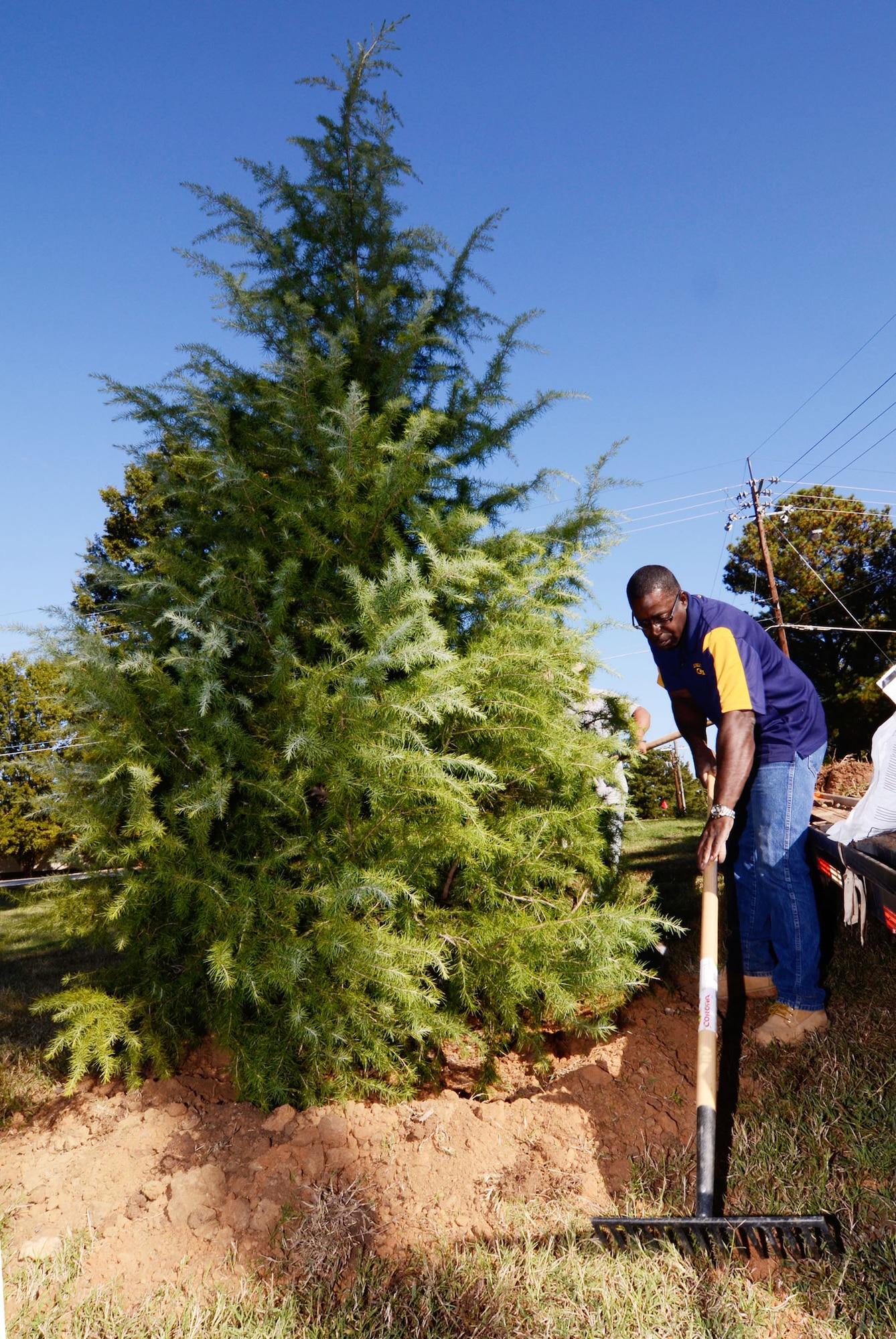 Tim Starks, a landscaping contractor from Lithonia, Ga., smoothes the area around the base of a newly planted base Christmas tree here Oct. 24. The tree was donated by Chuck Berry of Covington, Ga., and Starks. "Christmas is a big deal for us," said Berry. "We look forward to sharing this tree with Dobbins' servicemembers and anyone else who may pass by the main gate and see it." (U.S. Air Force photo/Don Peek)