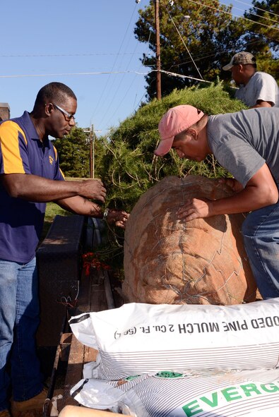 Tim Starks, landscaping contractor from Lithonia, Ga., and his crew off load the new Christmas tree delivered to Dobbins Oct. 24. The tree was donated by Chuck Berry of Covington, Ga., and Starks. "Christmas is a big deal for us," said Berry. "We look forward to sharing this tree with Dobbins' servicemembers and anyone else who may pass by the main gate and see it." (U.S. Air Force photo/Don Peek)