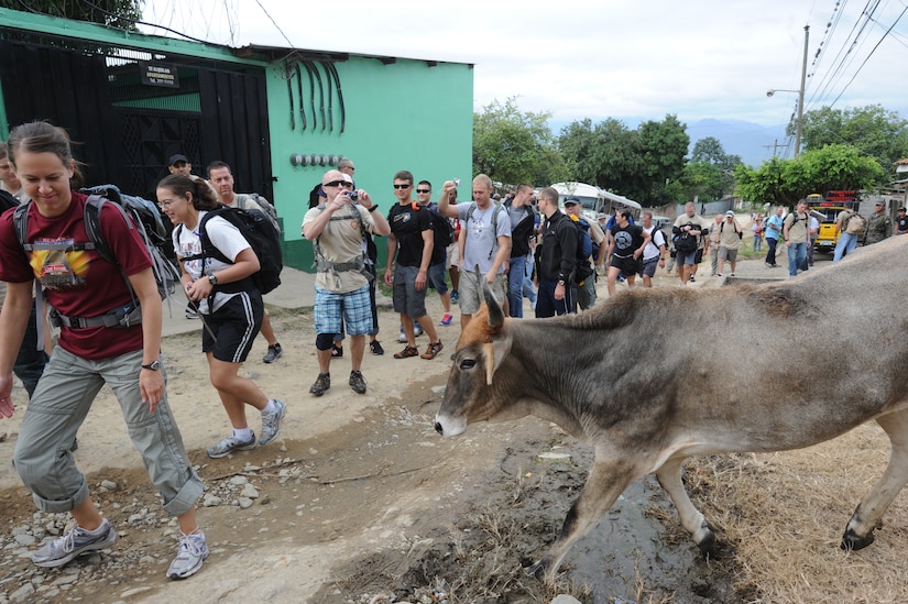 Hikers from Joint Task Force-Bravo avoid a bull while delivering food to people of El Sitio Oct. 22, 2011, near Soto Cano Air Base, Honduras. Nearly 150 JTF-B personnel hiked three miles to deliver food to the small village. (U.S. Air Force photo/Tech. Sgt. Matthew McGovern)
