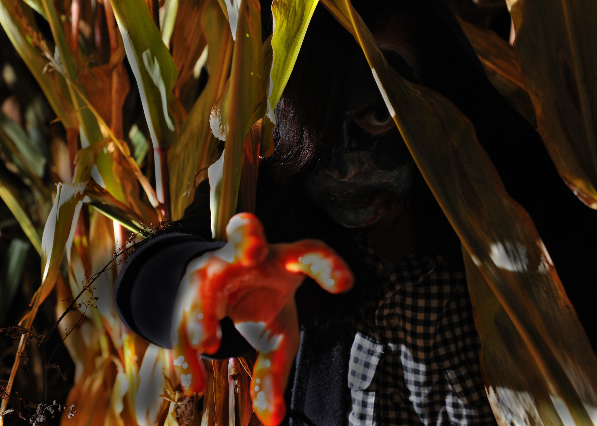 BADEM, Germany -- The creature of the corn reaches out people passing by at a corn field near Badem Oct. 23. This is the only known photo of the creature who takes passersby captive. The creatures almost escaped safely. (U.S. Air Force photo illustration/Airman 1st Class Dillon Davis)
