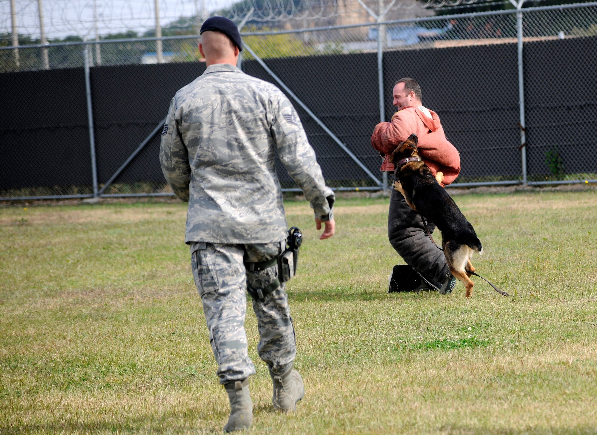 Lt. Col. Curtis St Amand, 8th Fighter Wing director of staff, gets bit by Military Working Dog Daryl at the working dog facility at Kunsan Air Base, Republic of Korea Oct. 21, 2011.  Wing leaders visited the 8th Security Forces Squadron K-9 unit to witness a K- 9 demonstration and put on bite suits to experience what training with military working dogs feels like.  (U.S. Air Force photo by Staff Sgt. Rasheen Douglas/Released)