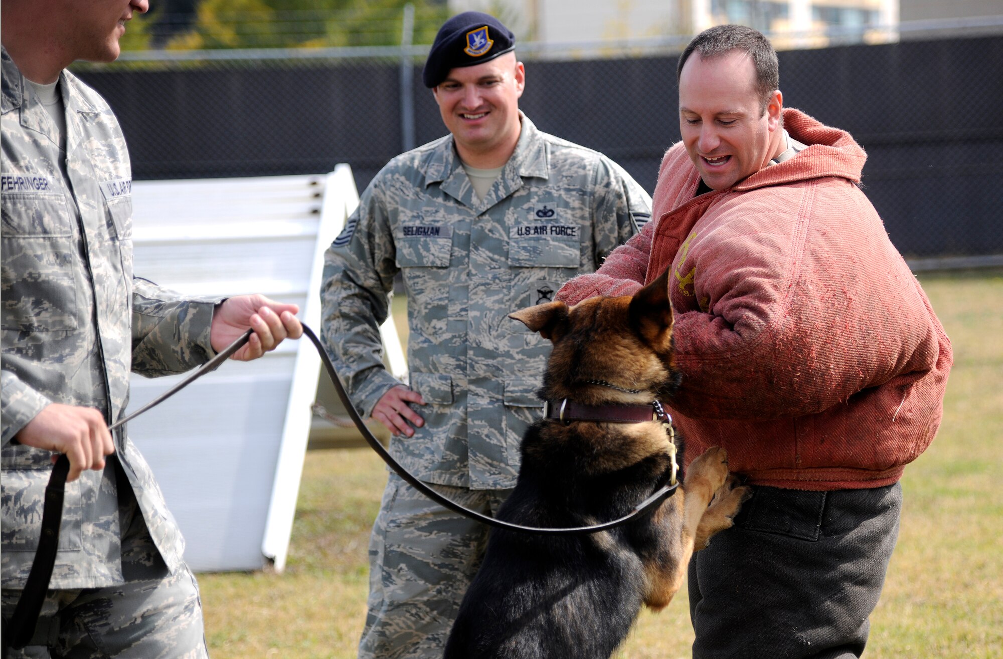 Lt. Col. Curtis St Amand, 8th Fighter Wing director of staff, gets bit by Military Working Dog Daryl at the working dog facility at Kunsan Air Base, Republic of Korea Oct. 21, 2011.  Wing leaders visited the 8th Security Forces Squadron K-9 unit to witness a K- 9 demonstration and put on bite suits to experience what training with military working dogs feels like.  (U.S. Air Force photo by Staff Sgt. Rasheen Douglas/Released)