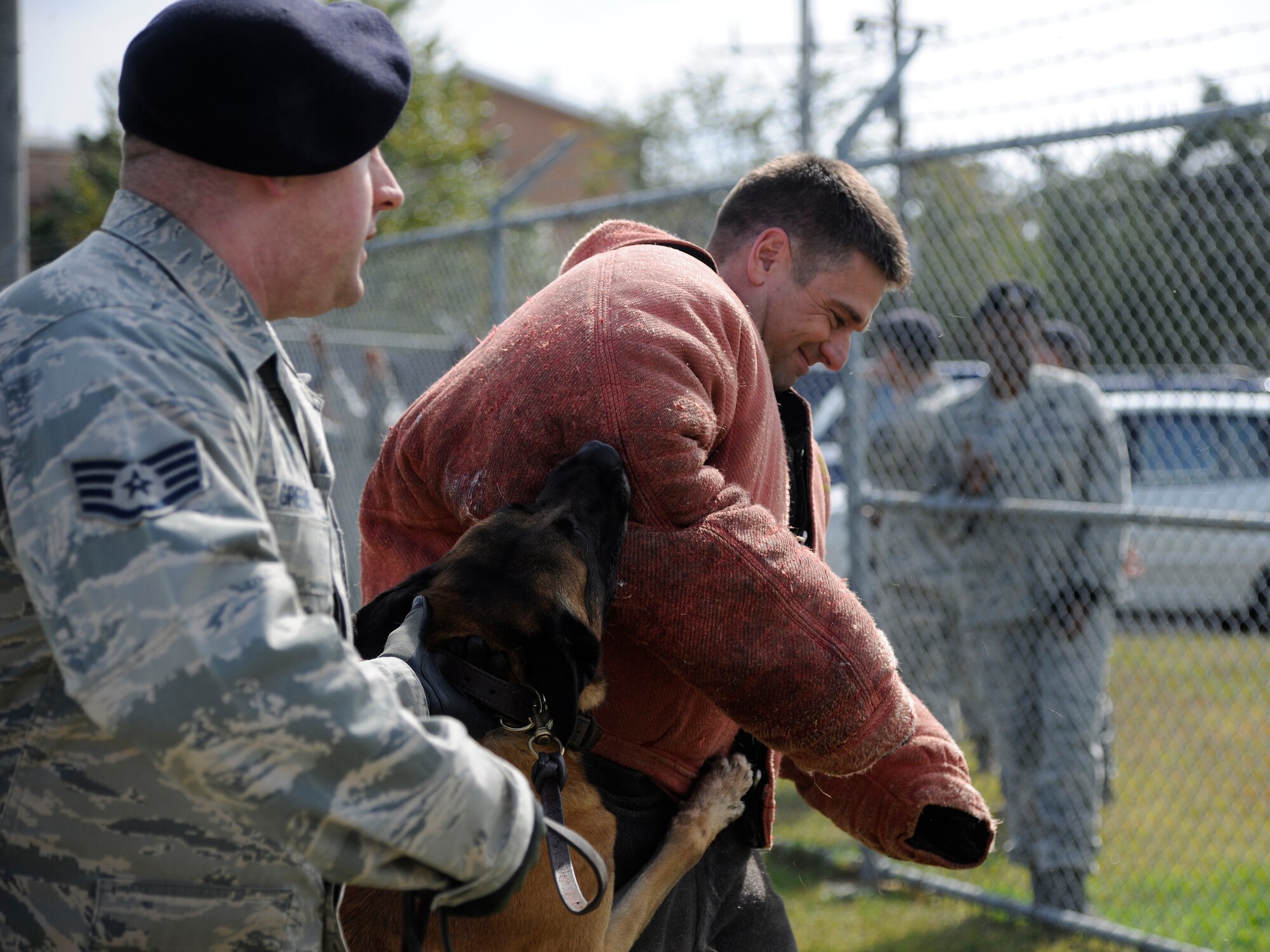 Chief Master Sgt. Scott Delveau, 8th Fighter Wing command chief, gets bit Military Working Dog Rudy at the working dog facility at Kunsan Air Base, Republic of Korea Oct. 21, 2011.  Wing leaders visited the 8th Security Forces Squadron K-9 unit to witness a K- 9 demonstration and put on bite suits to experience what training with military working dogs feels like.  (U.S. Air Force photo by Staff Sgt. Rasheen Douglas/Released)