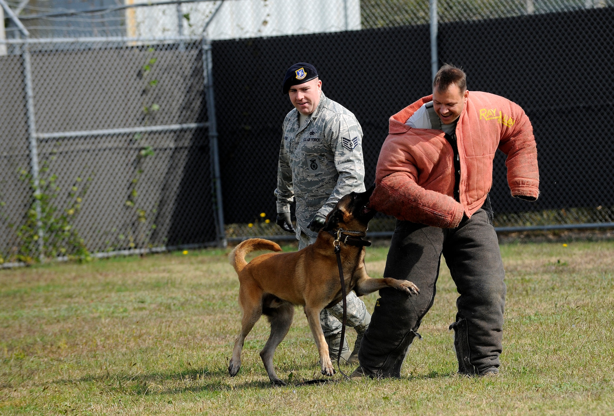 Col. Stephen Williams, 8th Fighter Wing vice commander, gets bit by Military Working Dog Ssentry at the working dog facility at Kunsan Air Base, Republic of Korea Oct. 21, 2011. Wing leaders visited the 8th Security Forces Squadron K-9 unit to witness a K- 9 demonstration and put on bite suits to experience what training with military working dogs feels like.  (U.S. Air Force photo by Staff Sgt. Rasheen Douglas/Released)