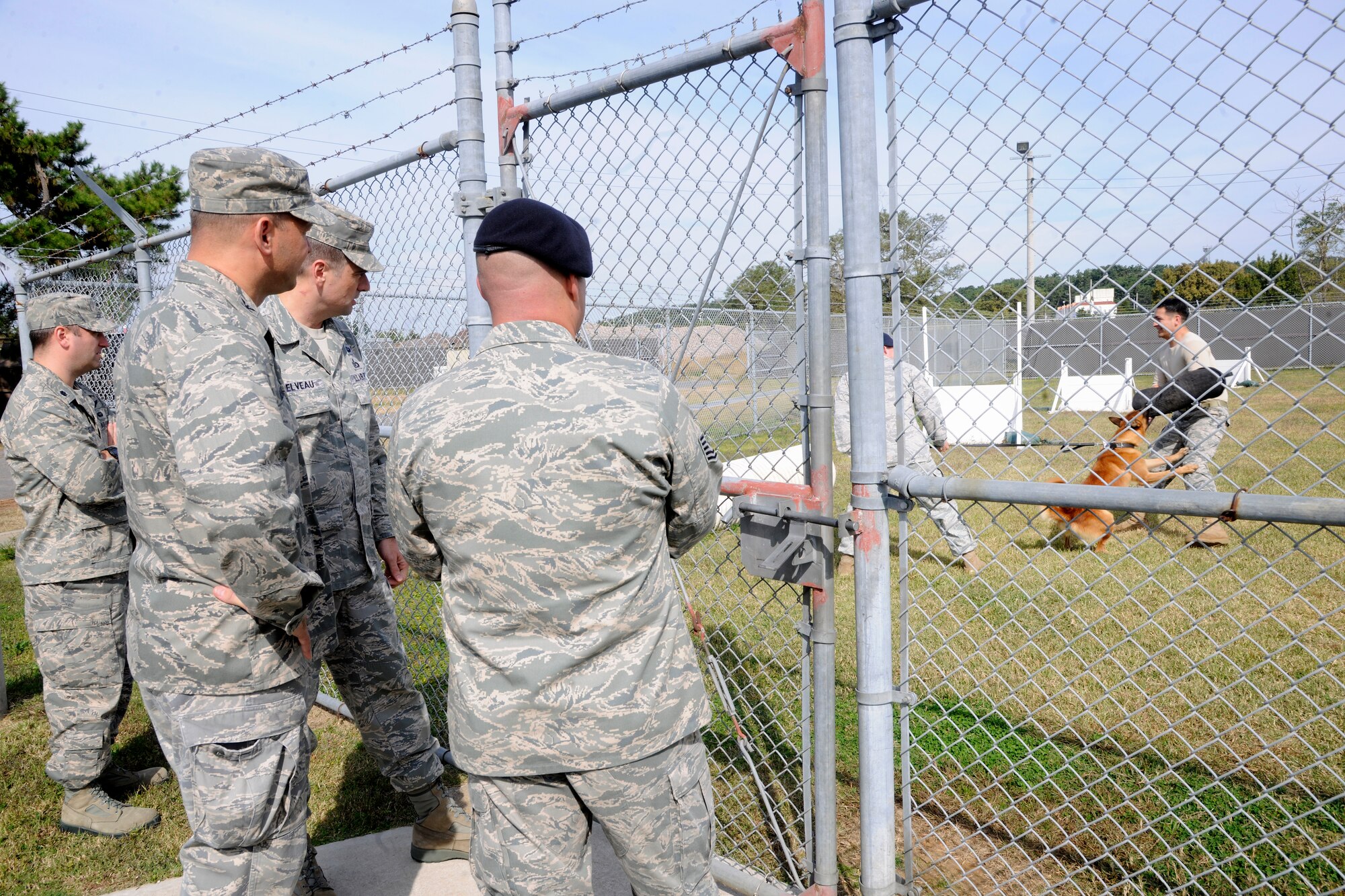 Leadership from the 8th Fighter Wing watch a K-9 demonstration performed by members of the 8th Security Forces Squadron K-9 unit at the military working dog facility at Kunsan Air Base, Republic of Korea Oct. 21, 2011.  Wing leaders visited the 8th Security Forces Squadron K-9 unit to witness a K- 9 demonstration and put on bite suits to experience what training with military working dogs feels like.  (U.S. Air Force photo by Staff Sgt. Rasheen Douglas/Released)