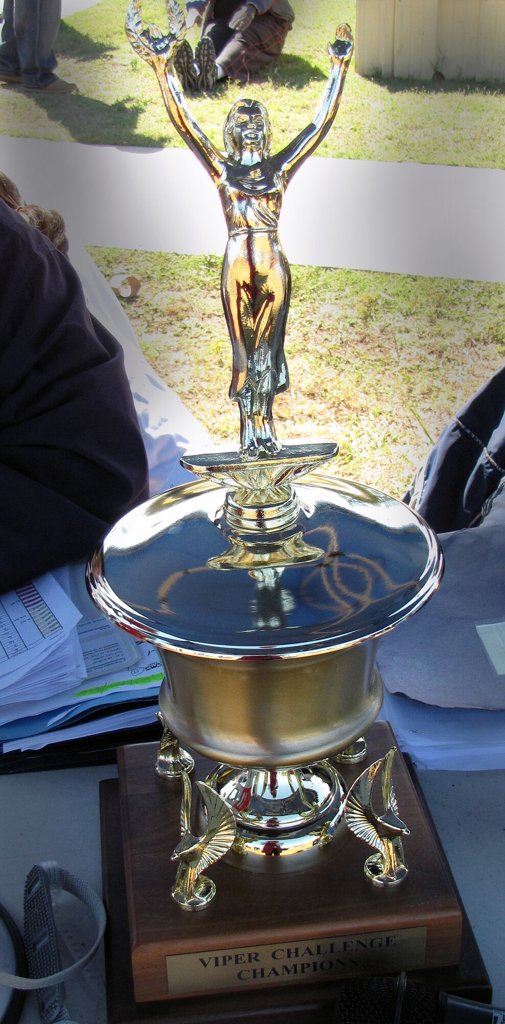 The Viper Challenge trophy awaits the winner of the challange at Shaw Air Force Base, S.C., Oct. 21, 2011. The challenge allowed people to get out of the office, mingle with those they don’t work with and have a great time getting their mind off the normal work day. (Courtesy of 20th Force Support Squadron/Released) 