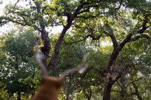 HEAD HUNTER - Curtis Hahn tells his story about falling out of tree stand  and to land himself in a coma. (by Tech. Sgt. Samuel Bendet)