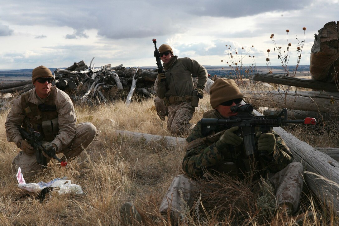 (left) Capt. Jared S. Stokes, fire power control team lead, 2nd Air-Naval Gunfire Liaison Company, II Marine Expeditionary Force, and other Marines with ANGLICO, respond to an ambush by role playing insurgents aboard Camp Guernsey Army Air Field, Wyo., Oct. 27. The exercise was part of a two-day event that covered numerous skills such as patrolling, medical evacuations and air strikes. Over the two-day event ANGLICO conducted approximately 20 different exercises to prepare for an upcoming deployment to Afghanistan.