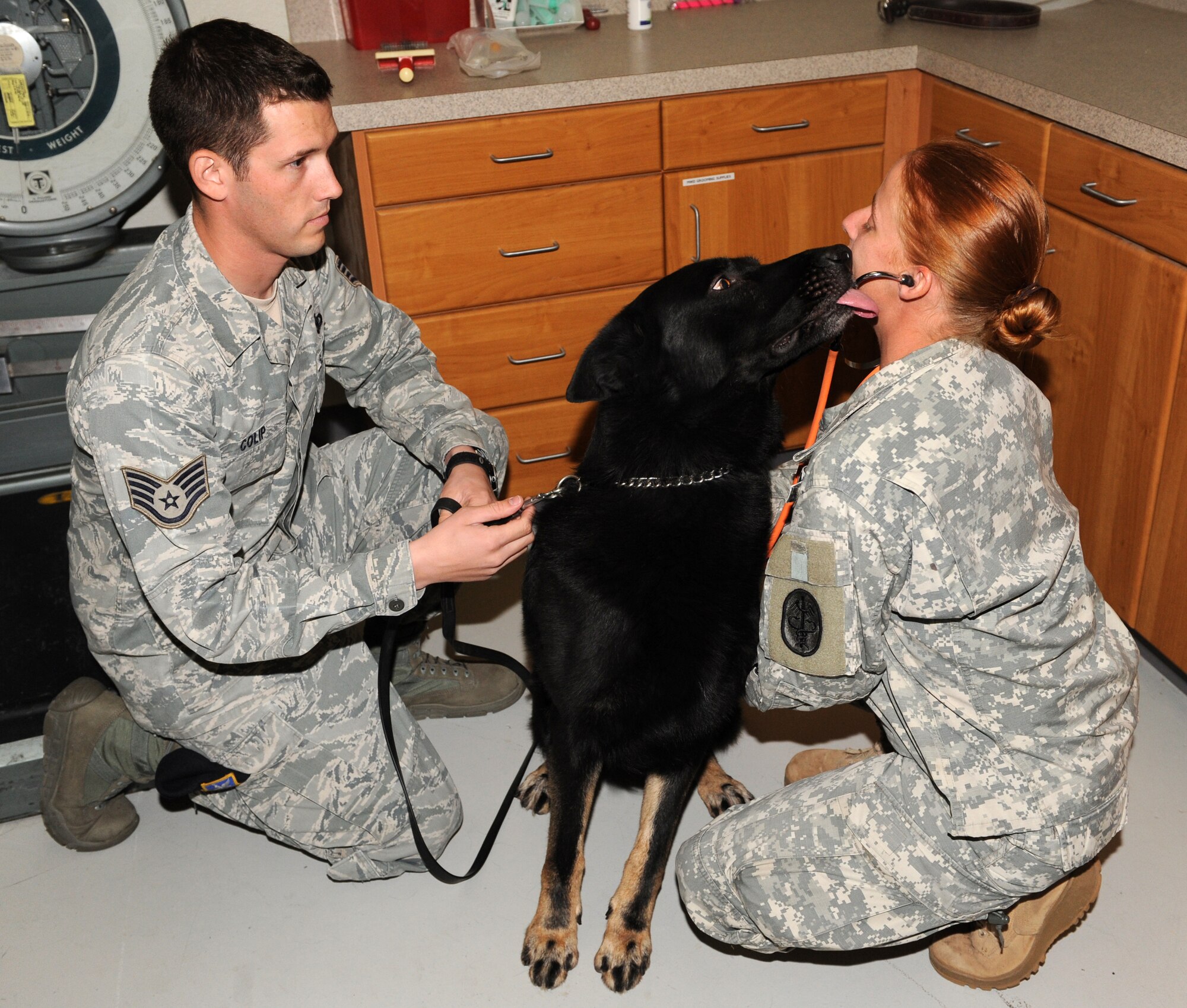 Cezar, a military working dog with the 366th Security Forces Squadron, licks the face of Army Sgt. Holly Cook Oct. 27, 2011, at the veterinary clinic at Mountain Home Air Force Base, Idaho. Cook is attached to preventative medicine at Joint Base Lewis-McChord, Wash., and is the noncommissioned officer-in-charge of the clinic. Cezar was being held by Staff Sgt. James Colip, 366th SFS military working dog trainer, throughout his routine exam. The primary mission of the vet clinic is the care and service to the military working dogs. (U.S. Air Force photo by Senior Airman Benjamin Sutton) 