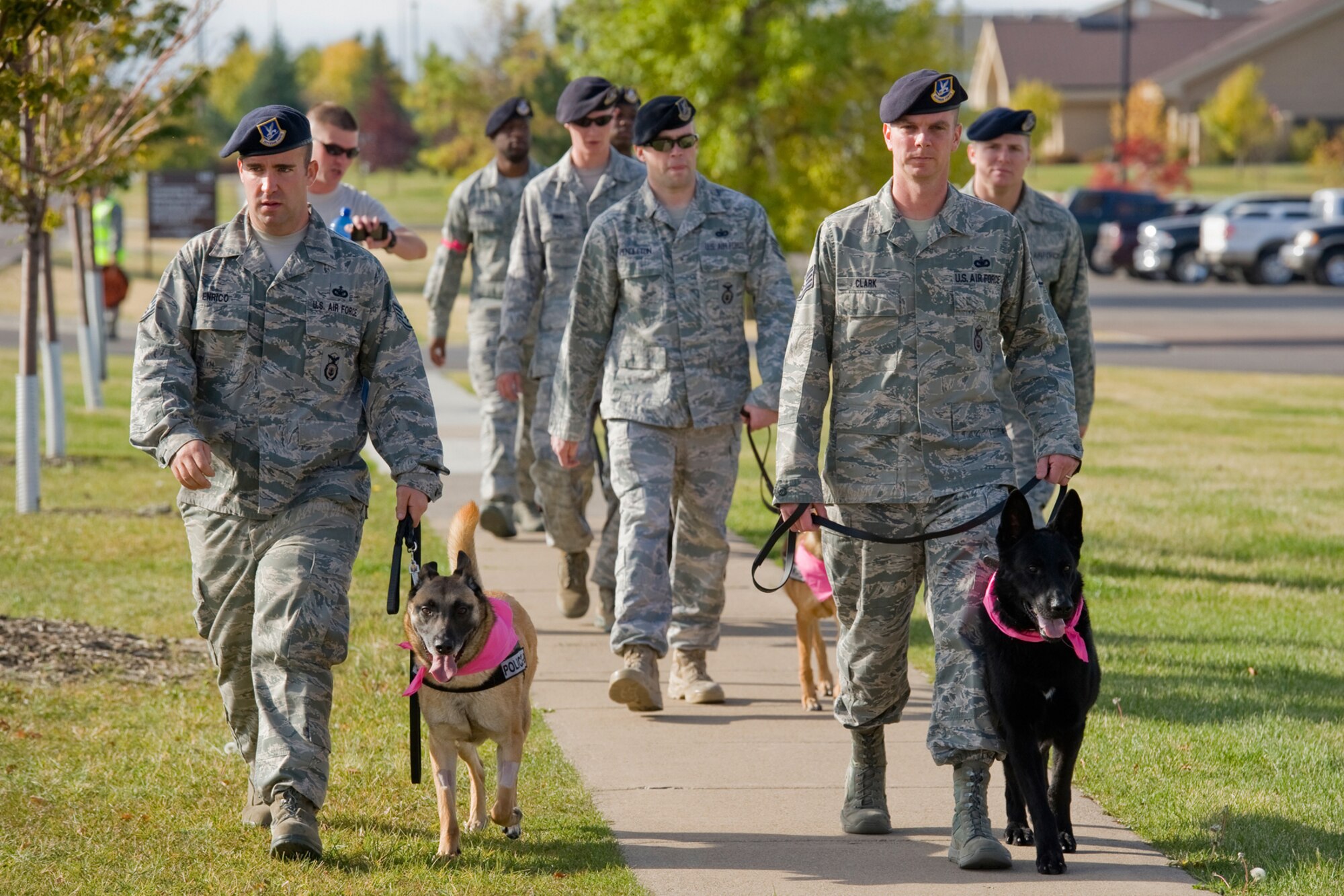 Staff Sgts. Samuel Enrico and Matthew Clark, both 341st Security Forces Squadron military working dog trainers, are accompanied on the breast cancer awareness walk by their working dogs in pink. Walking behind them are more members of the security forces K-9 unit. (U.S. Air Force photo/Beau Wade)