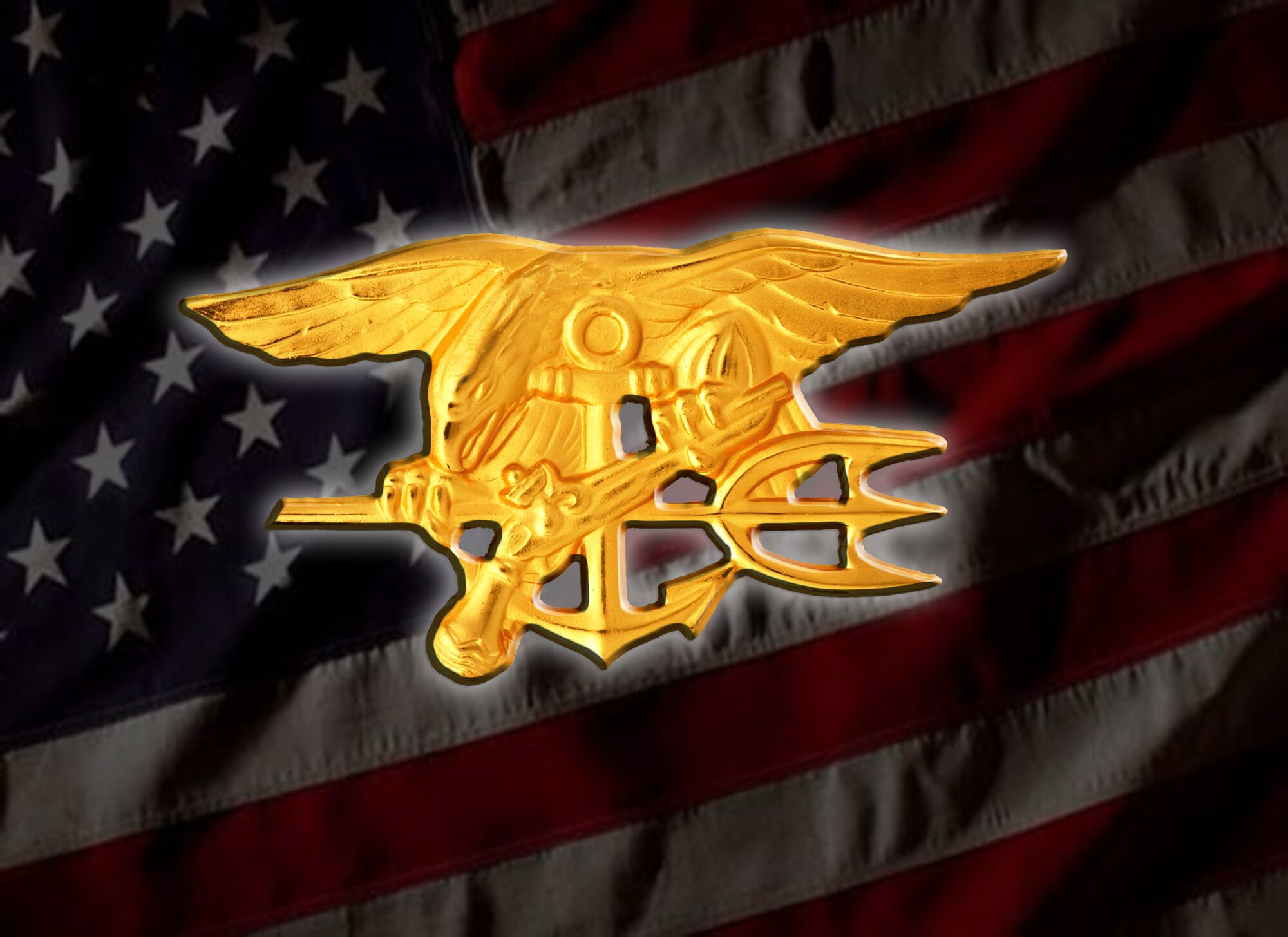 U.S. Navy SEALS