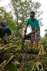 Capt. Taylor Francis trims a tree limb down to a manageable size for removal in the community of Goldsboro, N.C., Aug. 30, 2011. Airmen from various units on Seymour Johnson Air Force Base banded together to help their community recover from Hurricane Irene. Francis, 335th FS weapons system officer, is a native of Manteo, N.C. (U.S. Air Force photo by Senior Airman Rae Perry /Released)