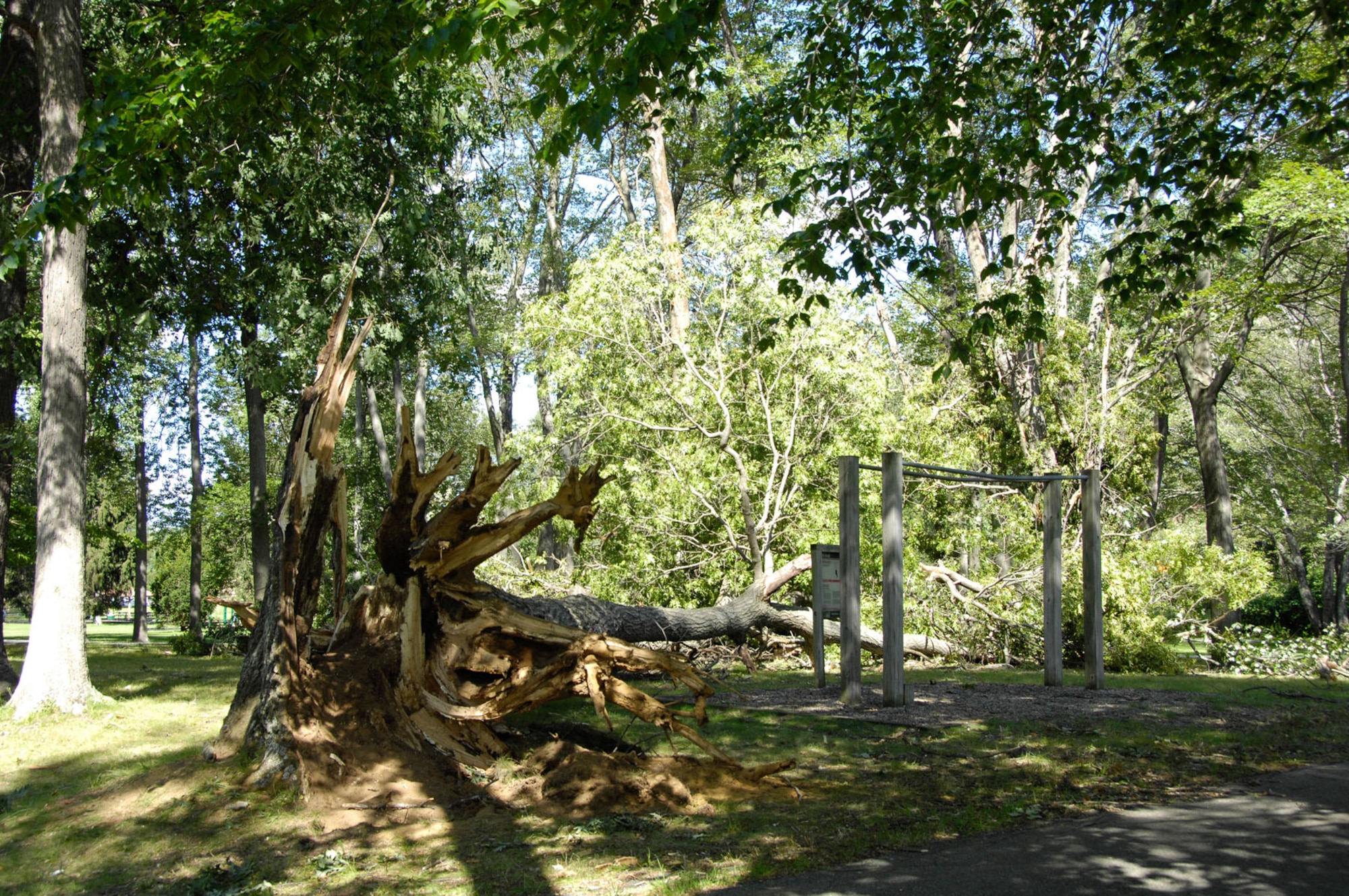 HANSCOM AIR FORCE BASE, Mass. – A tree lays in Castle Park Aug. 30 as a result of strong winds from Tropical Storm Irene that hit the east coast last weekend. Crews are working to remove fallen trees and debris, as well as repair any damage caused from the storm. (U.S. Air Force photo by Linda LaBonte Britt)
