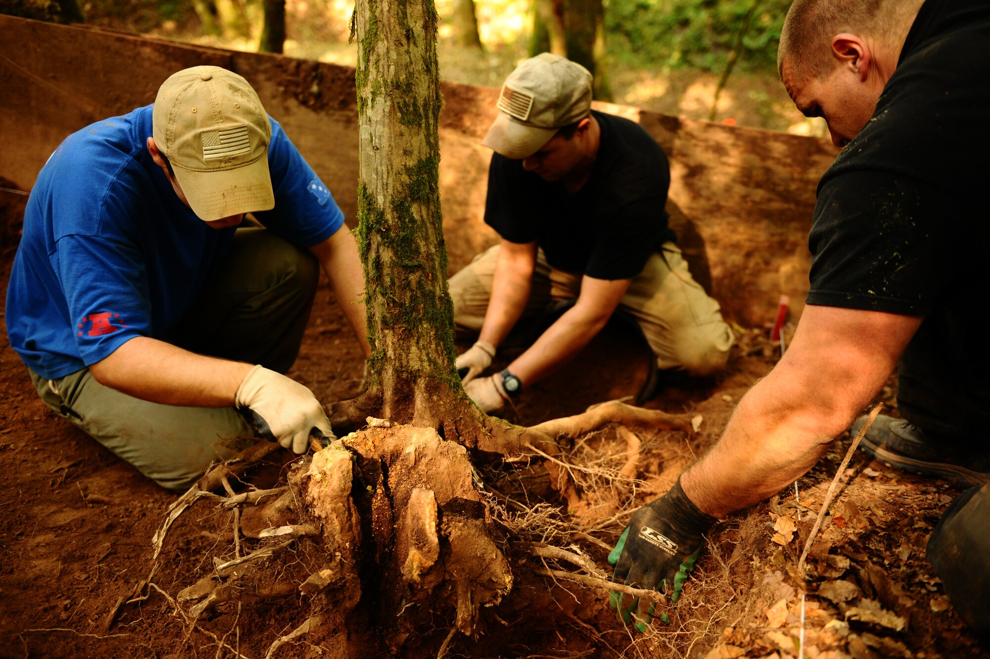 BETTENFELD, Germany -- Members of the Joint POW/MIA Accounting Command, Honolulu, and U.S. volunteers from Spangdahlem Air Base dig around tree roots in search of the remains of two service members still unaccounted-for from World War II here Sept. 2. The mission of JPAC is to achieve the fullest possible accounting of all Americans missing as a result of the nation's past conflicts. (U.S. Air Force photo/Staff Sgt. Nathanael Callon)