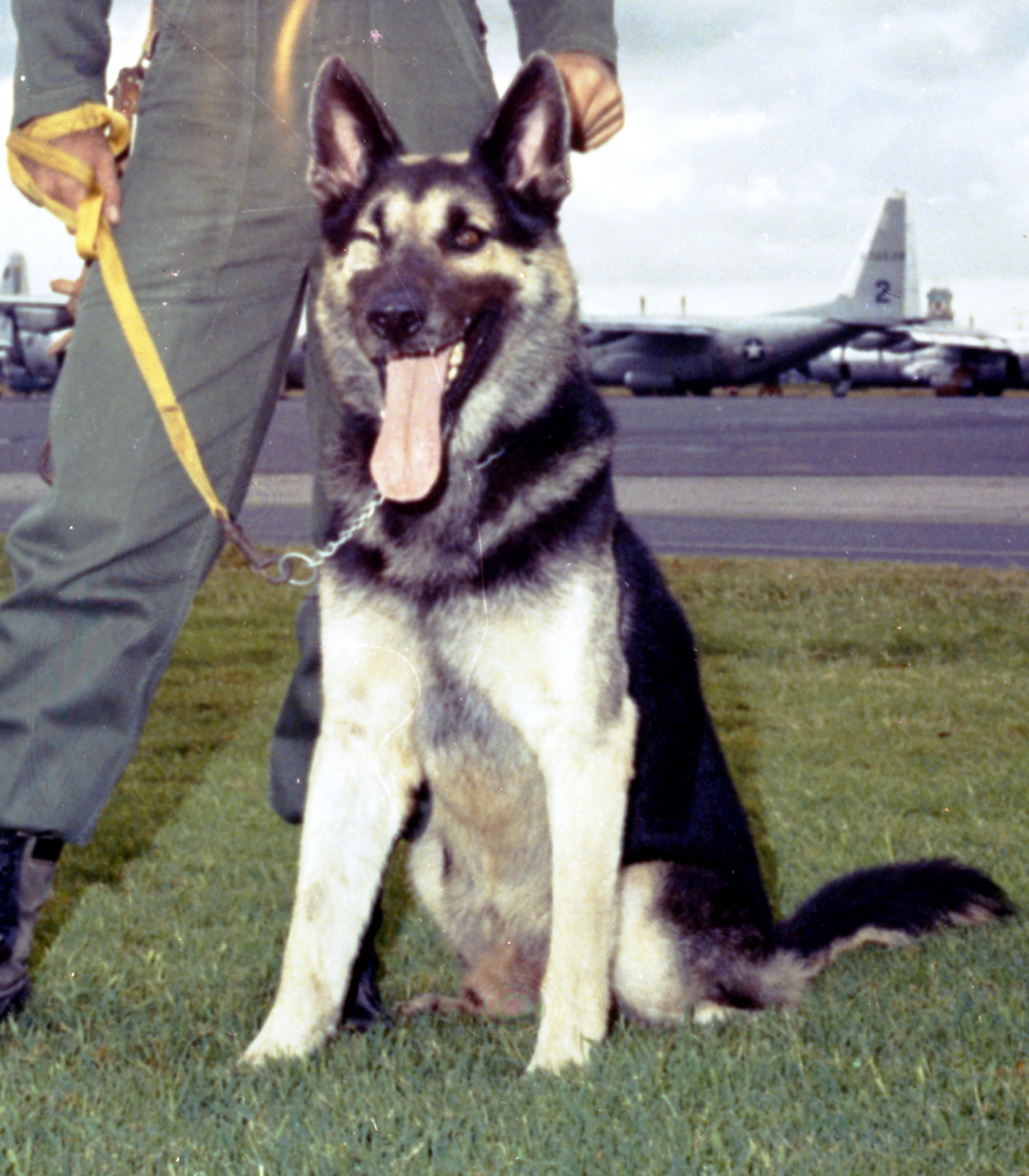 U S Air Force Dog  Handlers National Museum of the 