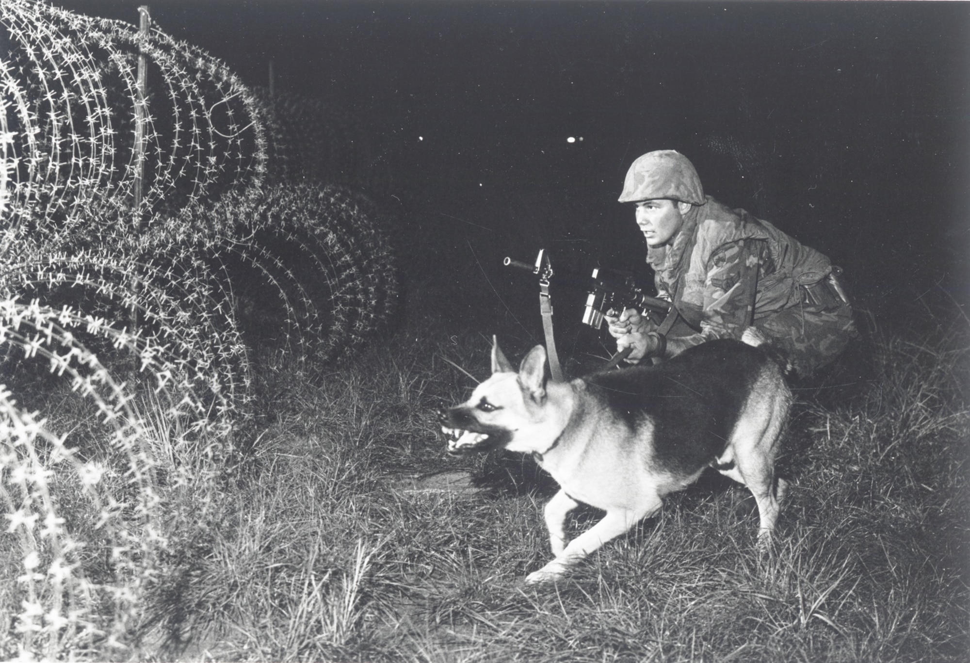 Sentry dog alerts to movement outside the perimeter of Phan Rang Air Base. (U.S. Air Force photo).
