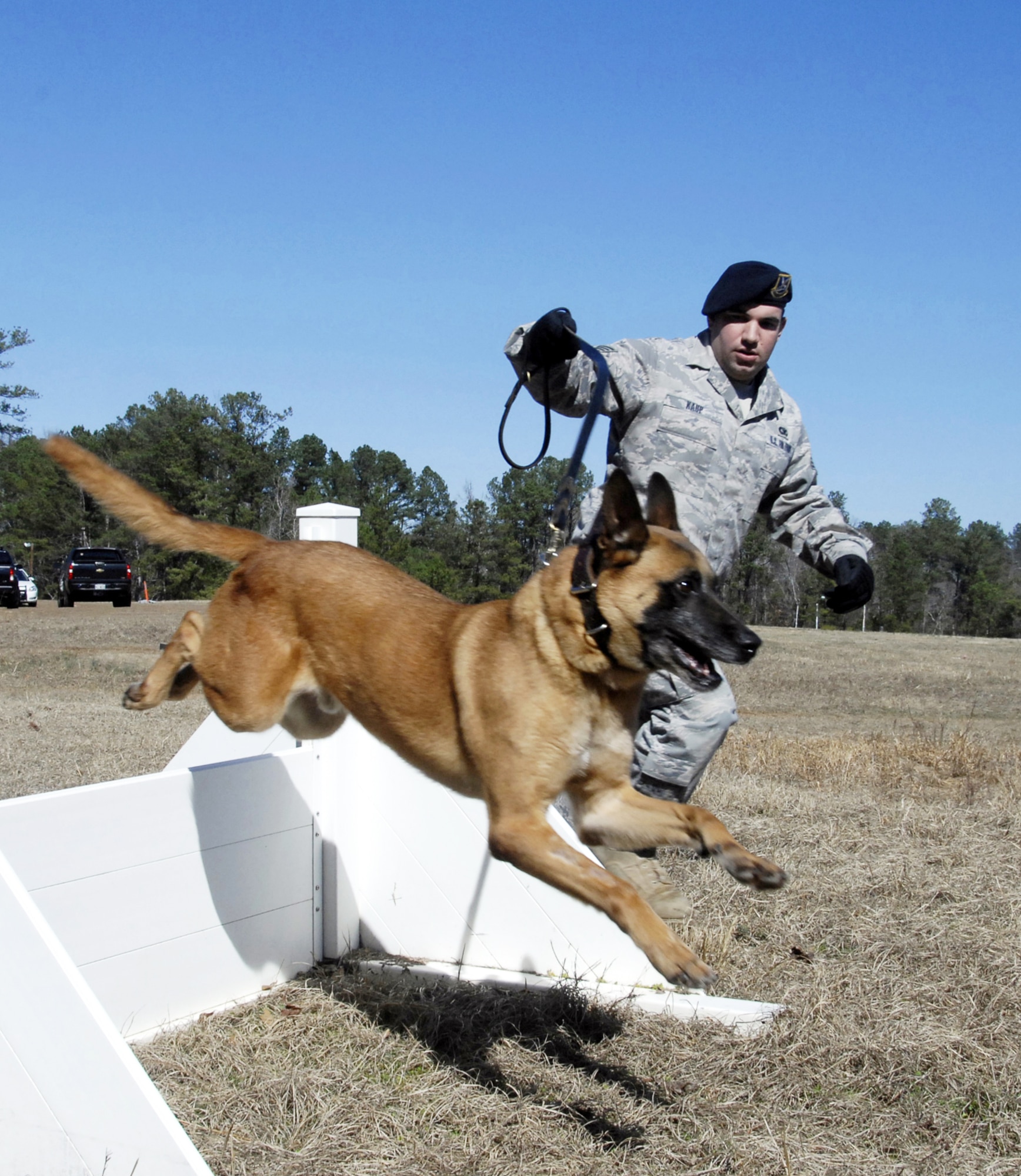 Then handler Staff Sgt. Shawn Kaup, 78th Security Forces,  runs military working dog Torca through a training course in this file photo. Torca was euthanized Aug. 25 due to medical conditions. U. S. Air Force file photo by Claude Lazzara