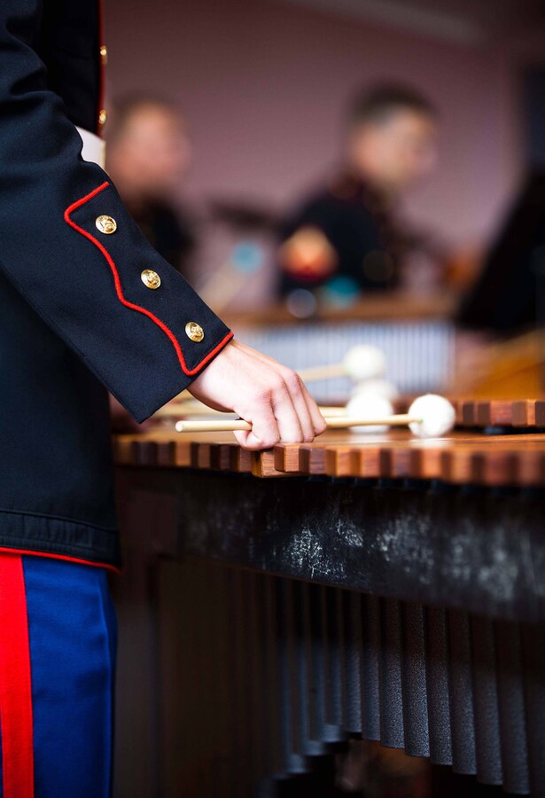 Cpl. Nathan P. Davenport, percussionist, U.S. Marine Corps Forces, Pacific Band, plays the marimba during a concert held at the Stratford War Memorial Centre here Sept. 13. The concert was held for the Stratford community to celebrate the 70th anniversary of Marines landing in Wellington in 1942. (Official U.S. Marine Corps photo by Lance Cpl. Isis M. Ramirez)