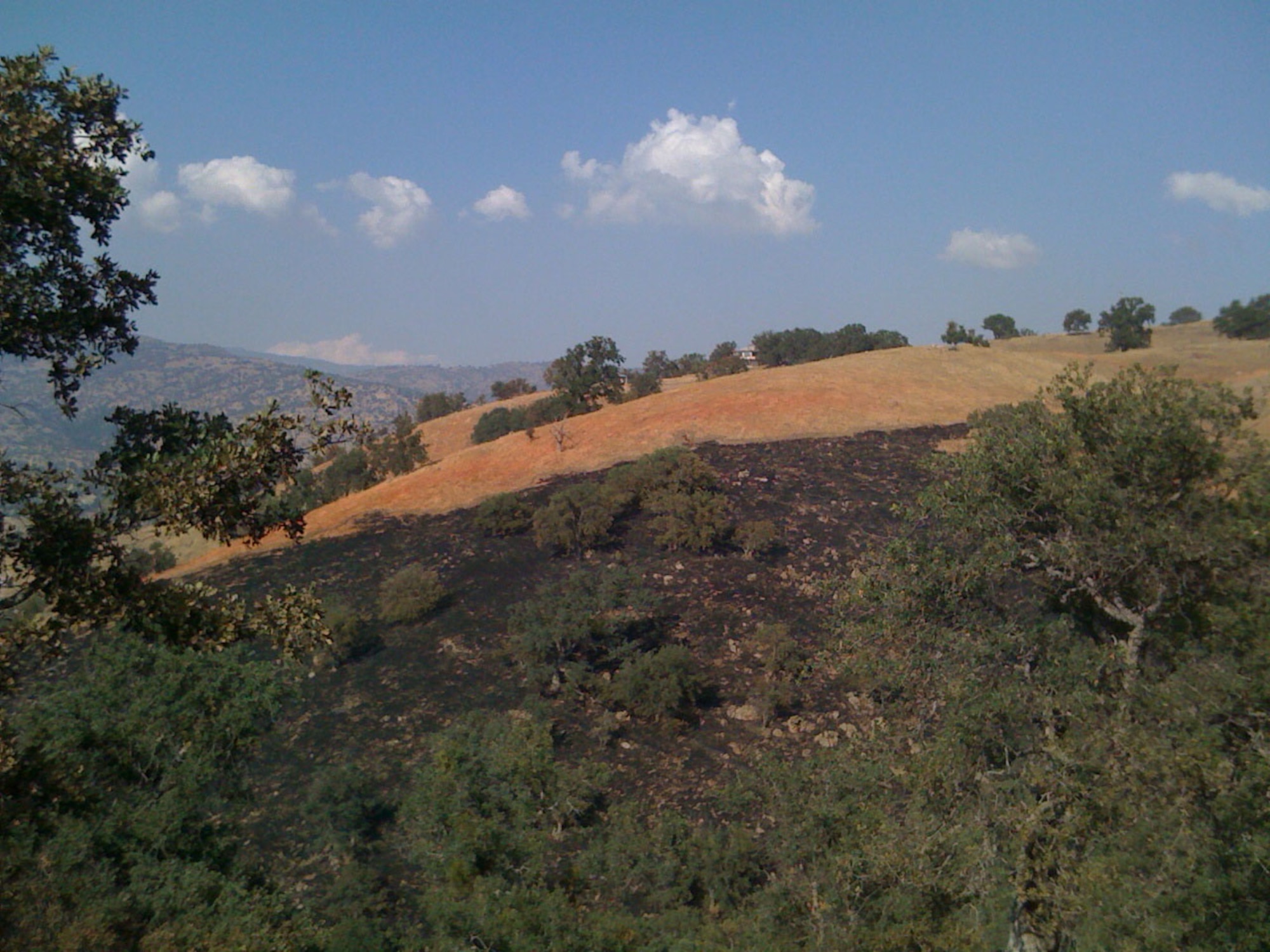 Scorched landscape in Kern County leads to a bright orange stripe of fire retardant dropped by a 146th Airlift Wing C130J Sept. 12, 2011. The 146th Airlift Wing C130Js equipped with MAFFS units were mobilized Sept. 11, 2011 to assist with firefighting efforts in Kern County. (photo by Tech.Sgt. Alex Koenig)