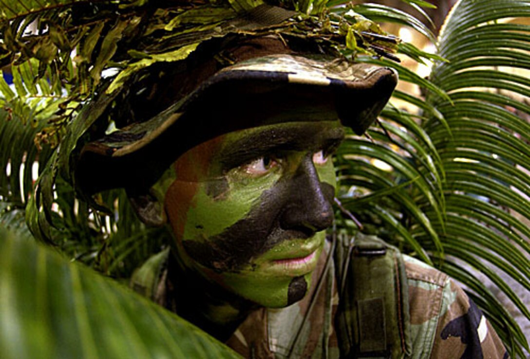 ANDERSON AIR FORCE BASE, Guam -- Airman 1st Class Nathan Fitzwater, a Fire and Emergency Services member from the 36th Civil Engineering Squadron, 36th Air Expeditionary Wing, Andersen Air Force Base, Guam, conceals himself by camouflaging in palm leaves and face paint during a Combat Dining In on Jan. 29, 2005. (U.S. Air Force photo/Staff Sgt. Bennie J. Davis III)