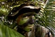 ANDERSON AIR FORCE BASE, Guam -- Airman 1st Class Nathan Fitzwater, a Fire and Emergency Services member from the 36th Civil Engineering Squadron, 36th Air Expeditionary Wing, Andersen Air Force Base, Guam, conceals himself by camouflaging in palm leaves and face paint during a Combat Dining In on Jan. 29, 2005. (U.S. Air Force photo/Staff Sgt. Bennie J. Davis III)