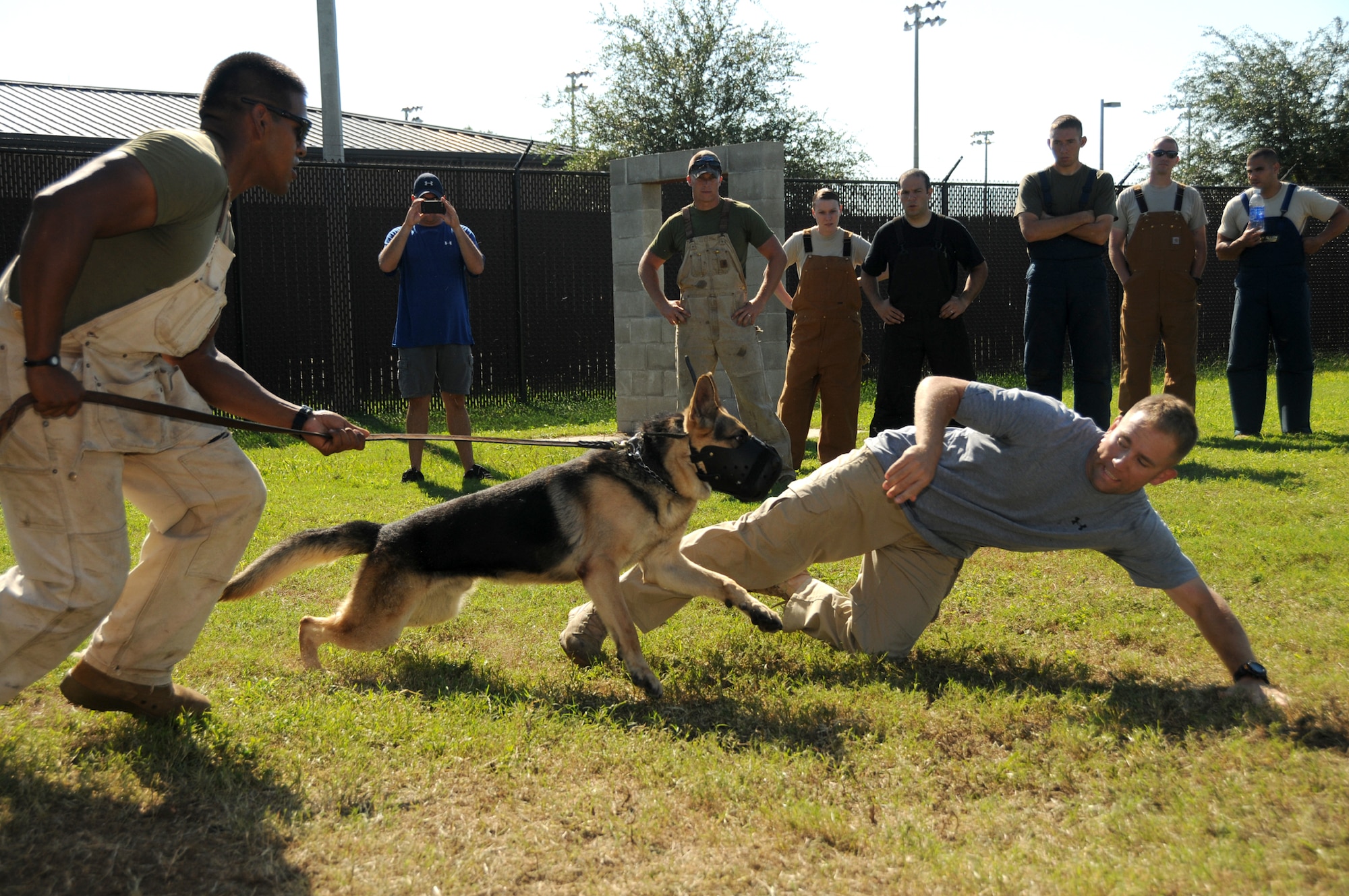 Marine Sgt. Freddy Guajardo, left, 341st Training Squadron, Lackland Air Force Base,
works with his dog, Bady, to apprehend Staff Sgt. Kennedy Wilkinson, 99th Security
Forces Squadron, Nellis AFB, Nev. Sept. 8.  This training session held at Keesler’s military working dog kennel is known as muzzle work and helps handlers gain control over their dog when pursuing a suspect.  (U.S. Air Force photo by Kemberly Groue)