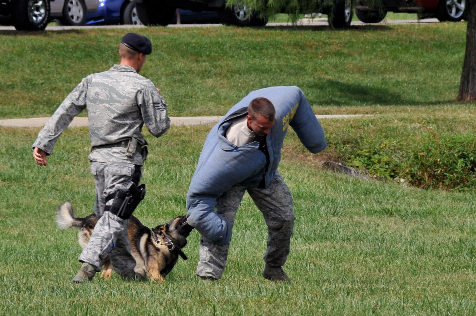 Airmen from the 509th Security Forces Squadron do a military-working dog demonstration for reservists and their families, Sept. 10, 2011 at the 442nd Fighter Wing Family Day picnic. The 442nd FW is an A-10 Thunderbolt II Air Force Reserve unit at Whiteman AIr Force Base, Mo. (U.S. Air Force photo/ Senior Airman Wesley Wright)