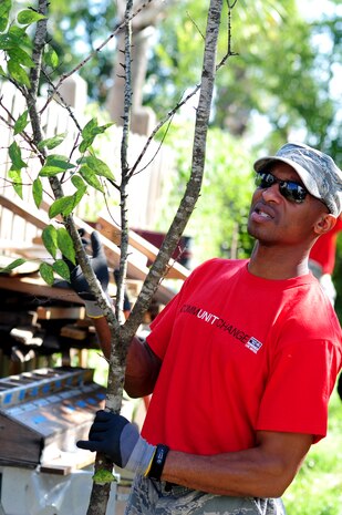 Staff Sgt. Anthony Jones moves tree branches that have been cut down during National Day of Caring, Sept. 9, 2011, in the East Central neighborhood of Charleston, S.C.  More than 200 volunteers participated in 35 projects which included landscaping, debris removal, painting, and light repairs in neighborhoods located in downtown Charleston.    Military, DoD civilians, dependents and retirees participated in the community service project. Jones is an Operations Intel Helper with the 315th Operations Support Squadron . (U.S. Air Force photo/Staff Sgt. Nicole Mickle) 